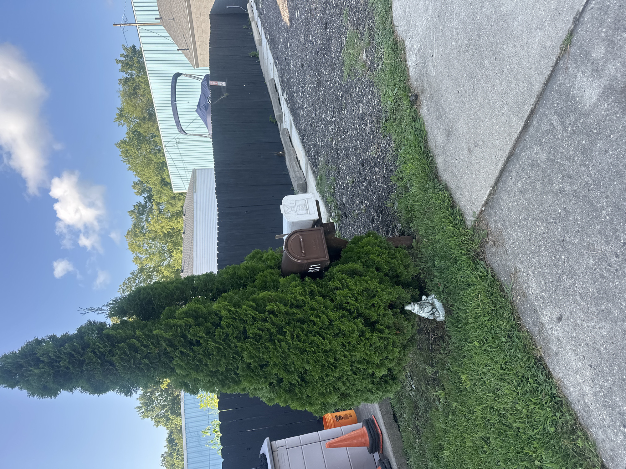 This is a medium-shot, eye-level, outdoor, daytime photograph of a residential area in Algonquin, Illinois, USA. The foreground features a patch of green grass bordering a concrete walkway. To the left, a large, conical evergreen tree dominates the frame, with a smaller evergreen tree behind it. Nestled at the base of the larger tree is a small, white garden gnome. In front of the trees, two mailboxes are mounted on a wooden post. The mailbox on the left is brown and displays the house number "811". To its right is a white mailbox. Behind the mailboxes and trees, a dark wooden fence runs horizontally across the image, demarcating the property line. Beyond the fence, a light blue corrugated metal building is visible, with trees in front of it and a portion of a boat with a blue cover on a trailer parked in front of the building. The sky is blue with scattered white clouds. To the far left, a grey storage bin and an orange bucket with a traffic cone on top are visible. The overall scene depicts a tidy, suburban outdoor space.