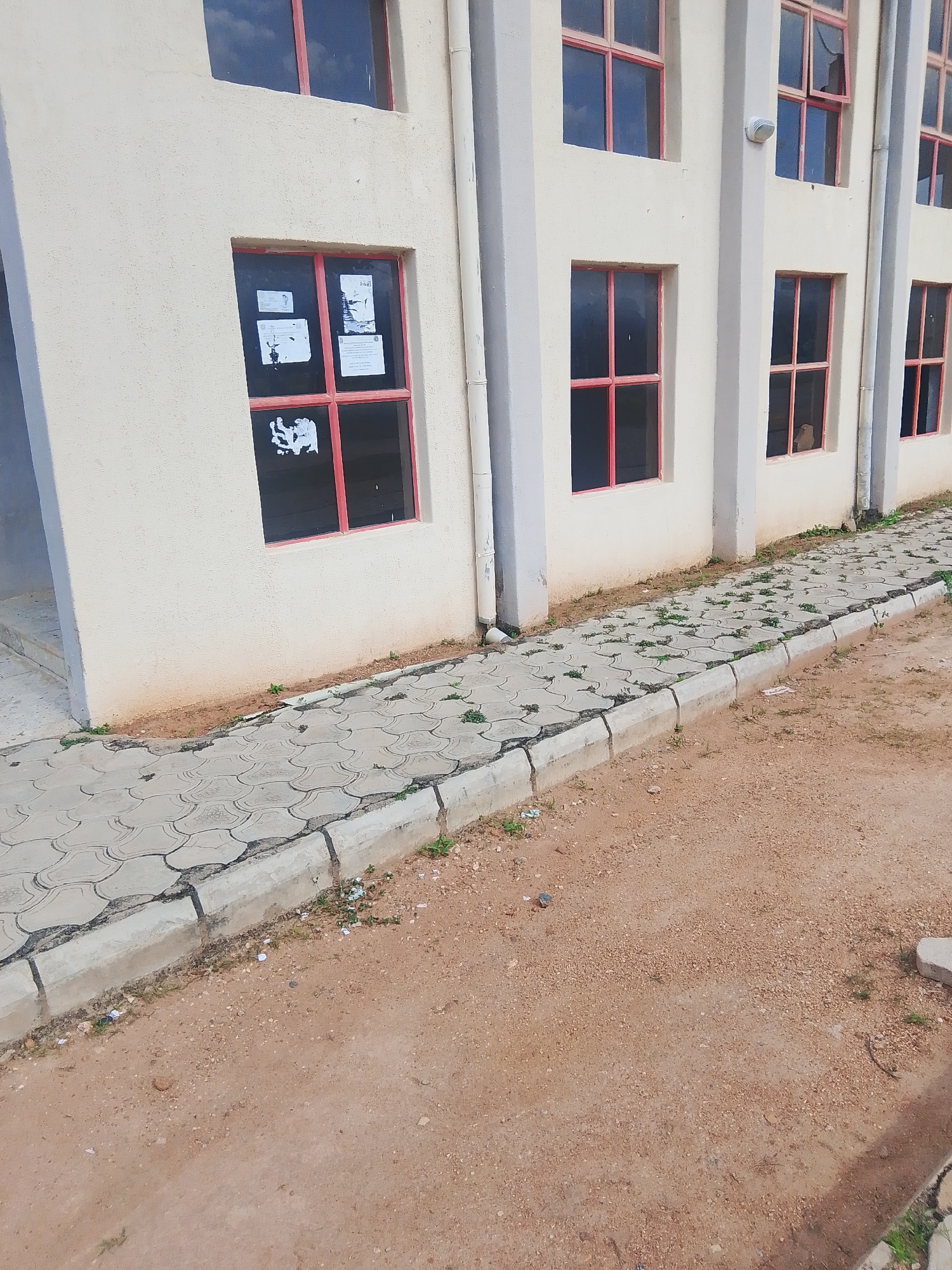 The image depicts the exterior of a light-colored building with several windows that have red frames. A paved walkway with a decorative pattern runs alongside the building, bordered by a concrete curb and a sandy area with sparse vegetation. The building appears to be a commercial or institutional structure. The context of Jalingo, Nigeria, suggests an urban or semi-urban setting. The scene is static, with no visible human activity or animals, implying a quiet moment or an unoccupied area. The lighting suggests it is daytime.