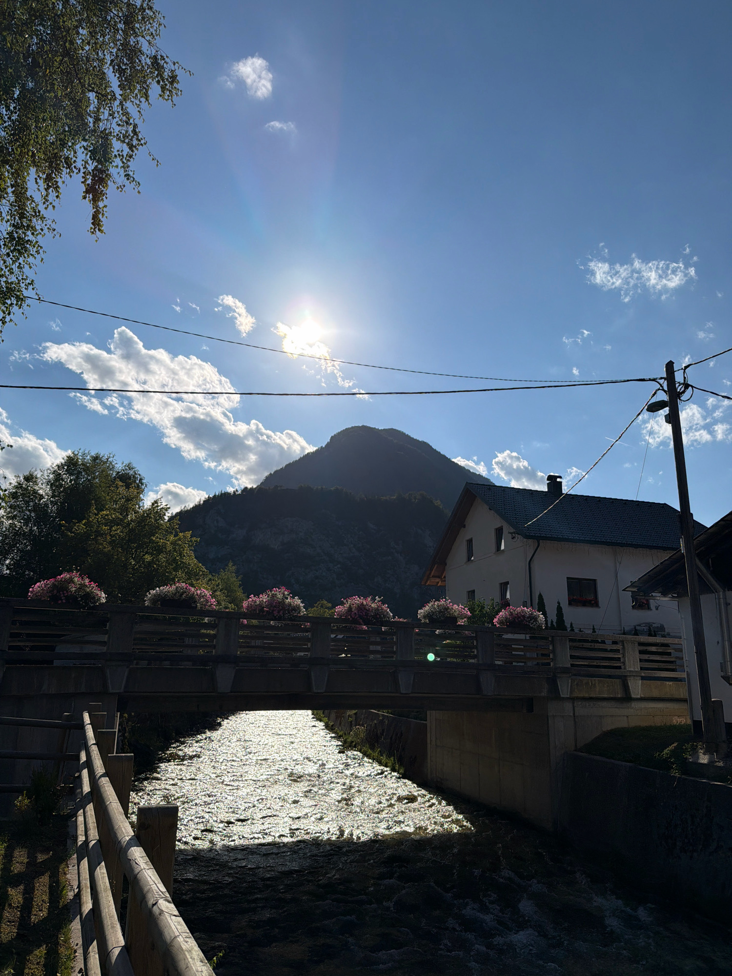 The image depicts a sun-drenched scene in Mojstrana, Slovenia, featuring a bridge crossing a flowing stream. The sun is high in the bright blue sky, casting strong rays that glint off the water's surface, creating a shimmering effect. Several white clouds are scattered across the sky, and a large, tree-covered mountain dominates the background.
In the foreground, a wooden fence runs along the bank of the stream. The bridge itself is made of concrete and wood, with decorative planters filled with pink and white flowers adorning its sides. On the right side of the image, a white house with a dark roof is visible, situated behind the bridge and nestled against the slope of the mountain. A wooden utility pole with power lines extends upwards on the far right. The stream appears shallow with visible rocks and a rough current. The overall atmosphere is one of a peaceful, scenic rural setting under a clear, sunny sky.