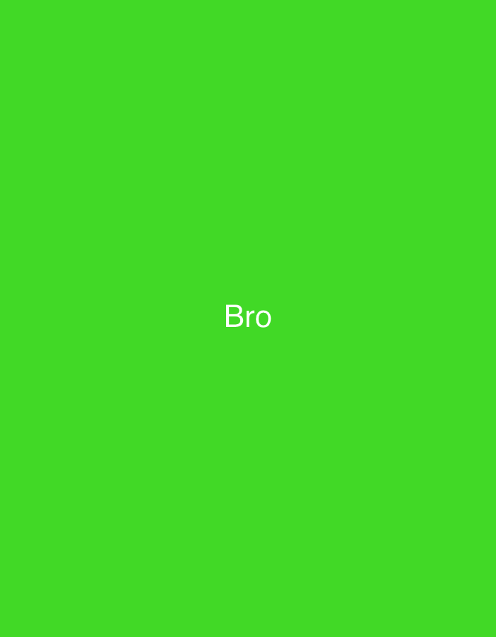 The image displays a solid, vibrant lime green background. Centrally positioned within this frame is the word "Bro," rendered in white, sans-serif typography. No individuals, additional objects, or discernible environmental features are present in the image. The image provides no visual indicators or contextual clues to determine its specific geographical origin, including the city of Casablanca, Morocco.