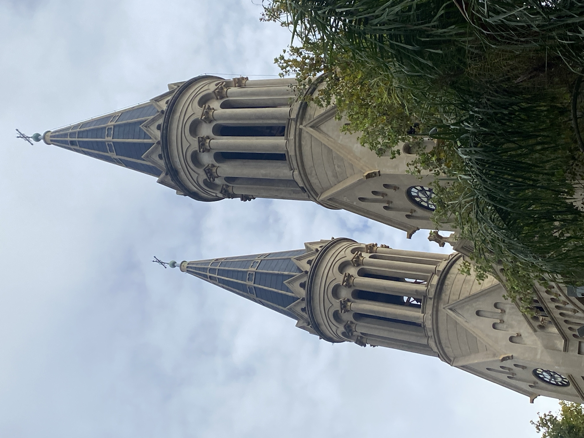 The image displays two majestic, ornate church steeples or bell towers, viewed from a low angle against an overcast sky. The towers, constructed from light-colored stone, exhibit intricate Gothic or Neo-Gothic architectural styling. Each tower culminates in a tall, pointed spire covered with dark, possibly tiled or slate, panels, topped with a delicate finial or cross.
Below the spires, both towers feature octagonal belfry sections with multiple arched openings, supported by slender columns with decorative capitals. These sections are adorned with detailed stone carvings and cornices. On the lower visible part of the right tower, a circular window with elaborate tracery, likely a clock face or a small rose window, is prominent.
Lush green foliage, including broad palm-like leaves and other tree branches, frames the right side of the image and partially obscures the towers, particularly the upper right one. The sky is a uniform, soft grey, indicating an overcast day with diffuse lighting that highlights the architectural details without harsh shadows. The overall scene suggests a grand religious edifice, located in Buenos Aires, Argentina. No discernible text is visible in the image.