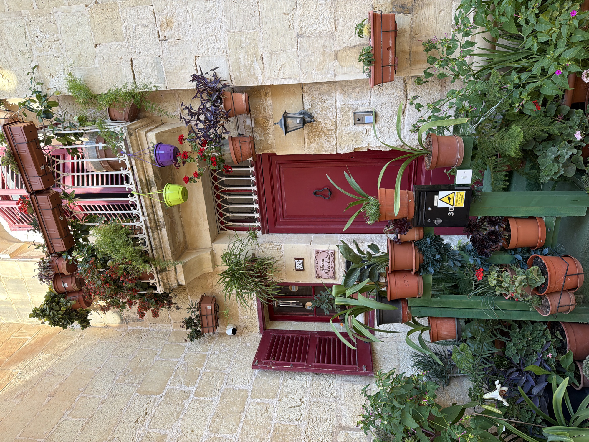 This image shows a picturesque building facade in Mdina, Malta, adorned with an abundance of potted plants. The scene is characterized by warm, Mediterranean architecture, with stone walls and a red door as prominent features. The overall impression is one of a vibrant and well-tended urban garden, creating a welcoming and lively atmosphere.
The subjects in the image are primarily decorative objects and the setting itself. Numerous terracotta and colored plastic pots overflow with a variety of plants, including flowering species with red and pink blooms, lush green foliage, and trailing vines. Some pots are hung from the building, while others are arranged on shelves. A white metal railing is visible, part of a balcony or window enclosure, also decorated with plants.
There is no activity or event taking place; the image captures a static, scenic view.
Notable details include the traditional Maltese stone construction, the rich red of the front door and shutters, and the diverse array of plants. The lighting suggests it is daytime, likely with bright sunlight casting shadows, though the specific time of day is not definitively ascertainable. The scene evokes a sense of charm and domestic beauty, typical of historic European towns.
Visible text includes a sign on a black mailbox attached to the green shelving unit. This sign is yellow with black text and a black border, featuring a warning symbol with a lightning bolt. Below this, there is text that reads "Warning", "This Property is protected", "with 24-hour CCTV". A "30" is also visible on the sign. Additionally, a small sign above the red door reads "Maria Codedala". There are also numbers visible on some of the pots, such as "€ 31.95".