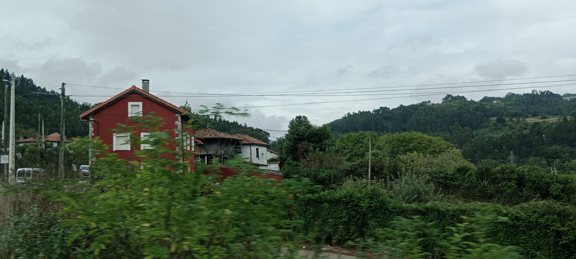 This is a medium-shot, horizontal photograph of a rural landscape in Cañedo, Spain, on an overcast day. The foreground is dominated by dense, out-of-focus green foliage. In the midground, there is a red building with white-trimmed windows and a visible chimney, situated on the left side of the image. To the right of the red building, a traditional gray and wooden structure with a tiled roof, likely a granary (hórreo), is visible, adjacent to a white building. Further to the right, the landscape transitions into a densely wooded hillside that rises to the background. Power lines are strung across the sky. The scene appears to be captured from a moving vehicle, as indicated by the motion blur in the foliage.
