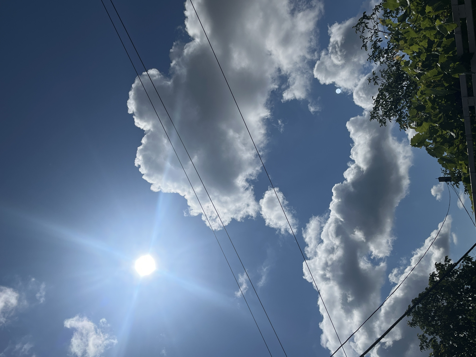 A bright, clear blue sky dominates the upper portion of the image, punctuated by fluffy white and grey clouds. The sun shines intensely in the upper left quadrant, casting a bright lens flare and radiating rays. Several dark electrical wires stretch diagonally across the sky from left to right. In the lower section of the image, green foliage, including leaves and vines, forms a dense canopy. Some of this foliage appears to be growing over a white fence. The scene is an outdoor urban or suburban environment.