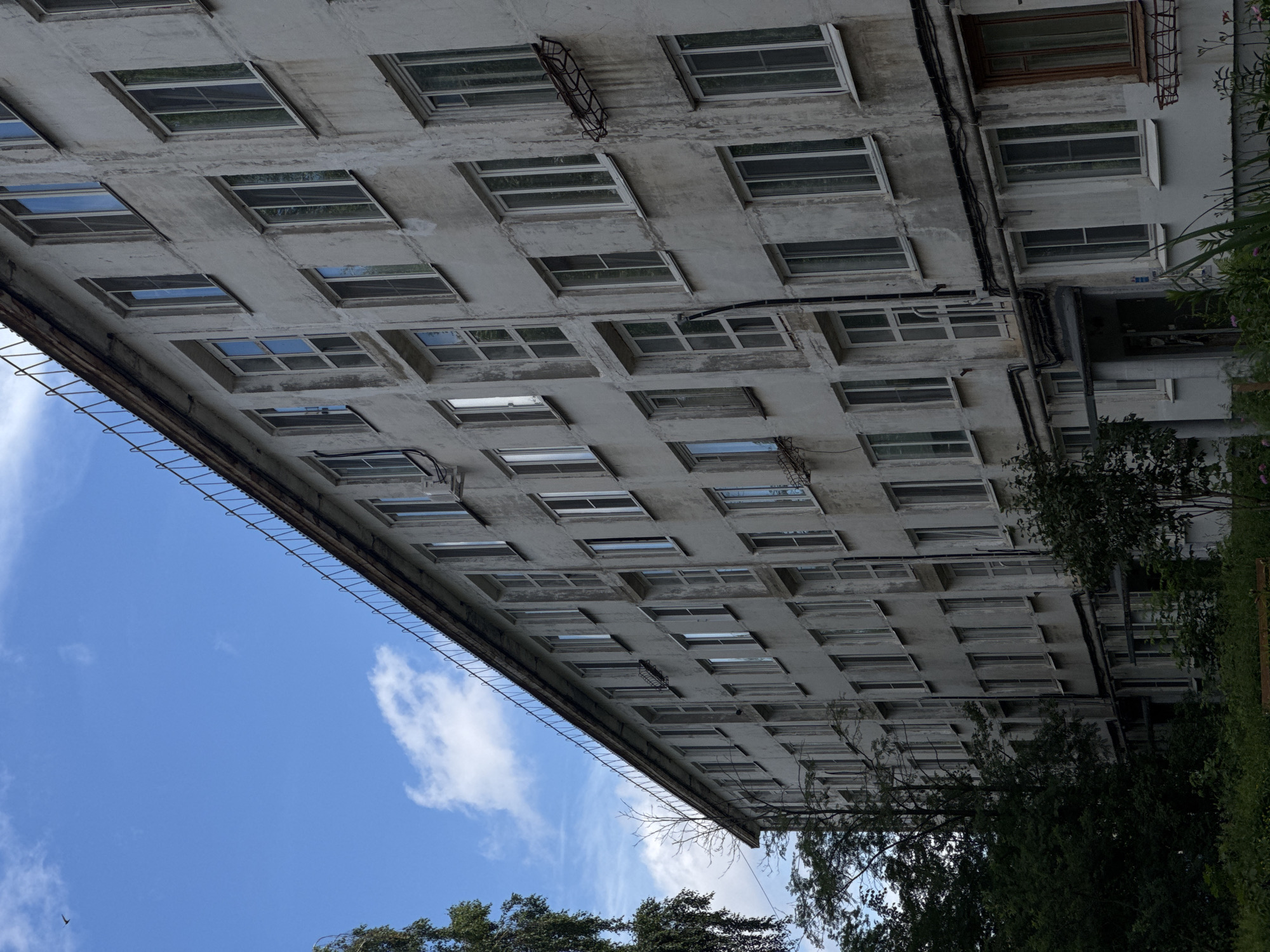 The image captures a long, multi-story residential building in Chaikovsky, Russia, under a partly cloudy blue sky. The building's facade is a weathered, pale gray concrete with visible signs of age and wear, including streaks and discoloration. It features numerous uniformly spaced windows, many with white frames, reflecting the sky and surrounding greenery. Some windows have a criss-cross pattern, while others appear to be simple panes. A dark metal railing runs along the edge of the roofline, suggesting a protective barrier or an element of the building's design.
The foreground is dominated by lush, dark green foliage, including trees and bushes, suggesting a natural or overgrown environment surrounding the building. A few branches of a large tree with dark green leaves hang into the frame from the left side. The overall impression is one of an older, possibly utilitarian apartment complex set against a backdrop of nature. The scene is static, with no people or active events depicted. The lighting suggests it is daytime, with a mix of sunlight and cloud cover.