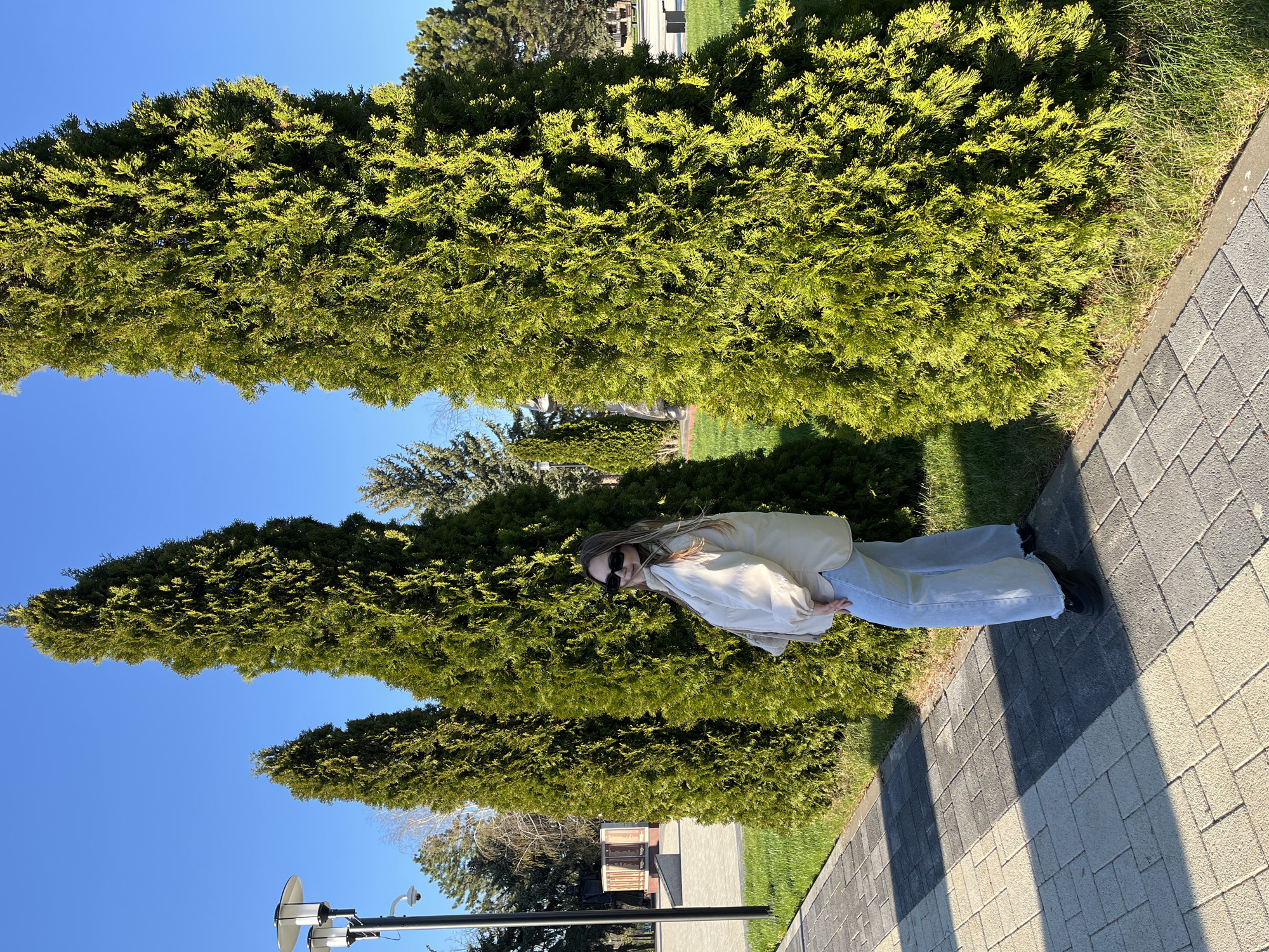 A young woman stands on a paved walkway in what appears to be a park or public area. She is wearing sunglasses, a light-colored jacket, and light blue jeans. Large, dense green shrubs line one side of the walkway. The sky is clear and blue. The city is Novopokrovskaya, Russia. The scene is bright and sunny.
