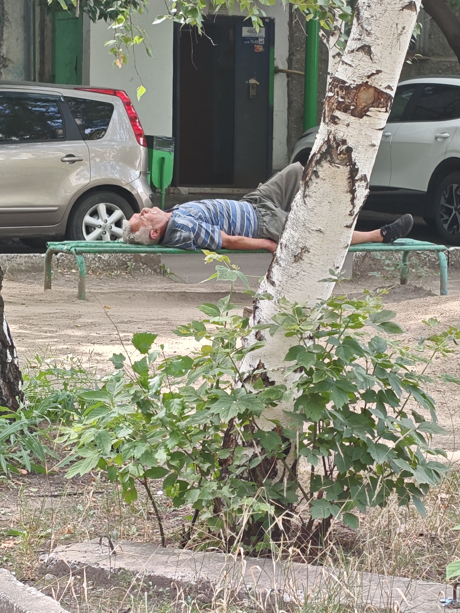 An elderly man with gray hair and a beard is lying on a green park bench, asleep or resting. He is wearing a blue and white striped t-shirt and gray shorts. The bench is situated outdoors on a dirt or gravel surface. Behind the man, a silver minivan is parked, and a white SUV is partially visible. A birch tree trunk is in the foreground, leaning against the bench. The background shows a building with green and white elements, possibly an apartment building entrance. The scene appears to be in an urban environment, likely a residential courtyard in Petropavl, Kazakhstan.
