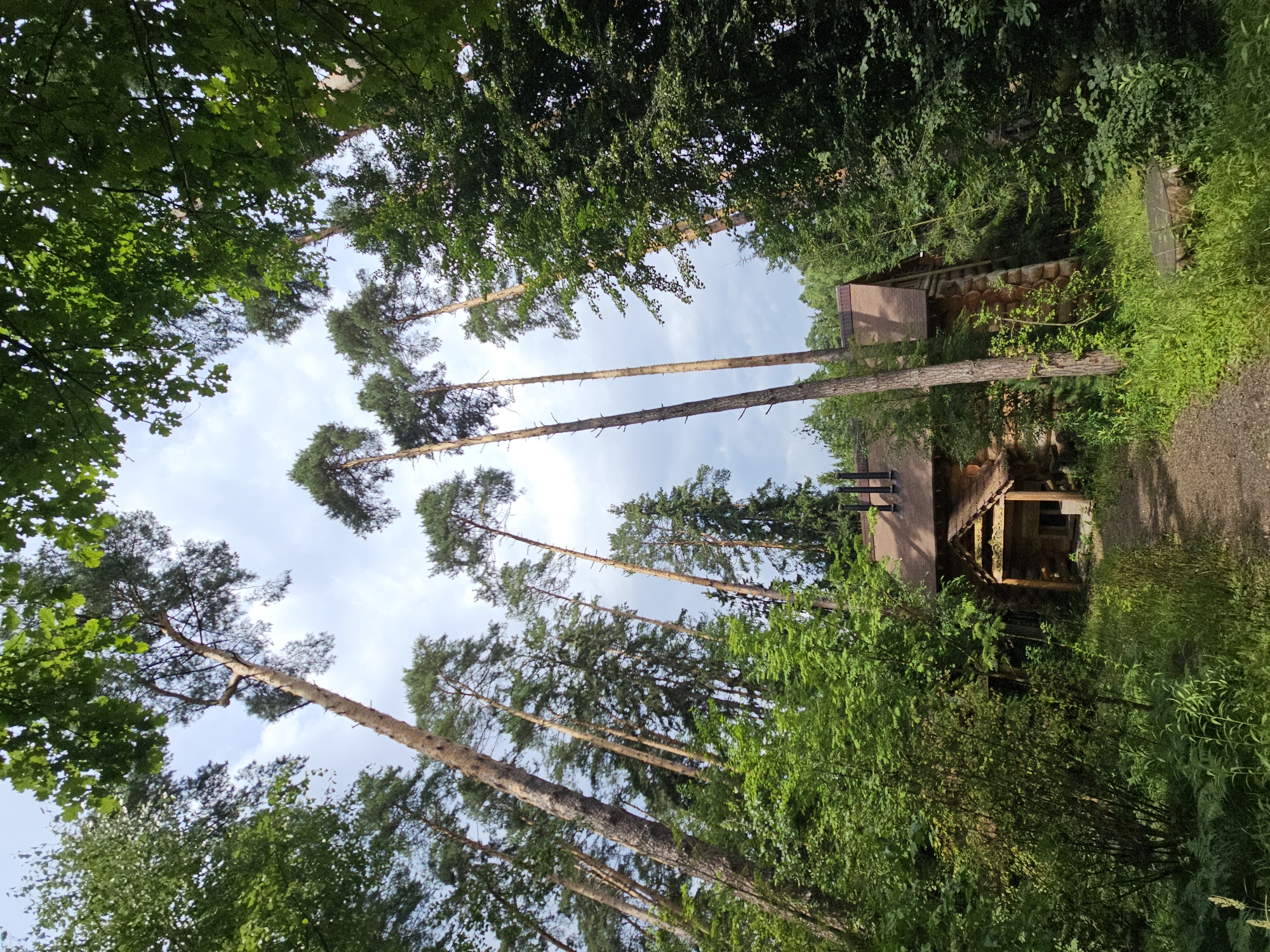 The image depicts a rustic wooden cabin nestled amongst tall pine trees in the village of Ulitkino, Russia. The cabin has a steeply pitched, dark brown roof with visible chimneys. A covered porch area with wooden railings and decorative carvings extends from the front. A dirt path leads to the porch. The surrounding environment is dense with lush green foliage, including ferns and various bushes, suggesting a forest setting. The sky above is overcast with patches of blue peeking through. The overall scene conveys a sense of seclusion and natural beauty. There are no people visible in the image.