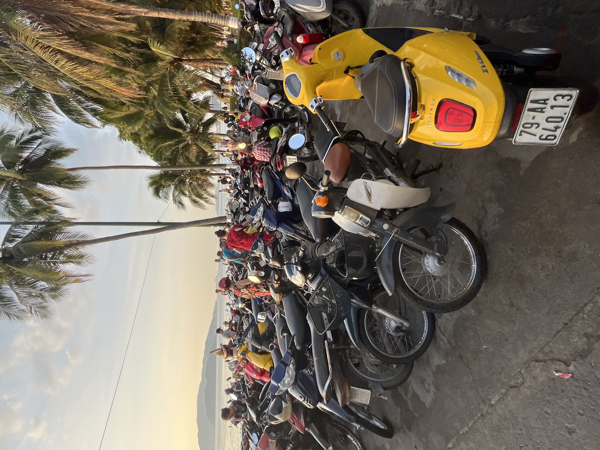 The image depicts a dense motorcycle parking area in Nha Trang Ward, Vietnam. Palm trees line the edge of the parking, suggesting proximity to a beach or coastal area. A variety of motorcycles are tightly packed together, with a prominent yellow scooter featuring the license plate "79-AA 640.13" visible in the foreground. The scene is bathed in sunlight, with a slightly hazy sky visible through the palm trees. Numerous people are situated between the motorcycles and the shoreline, implying a busy location near a popular destination. The ground is paved with asphalt.
