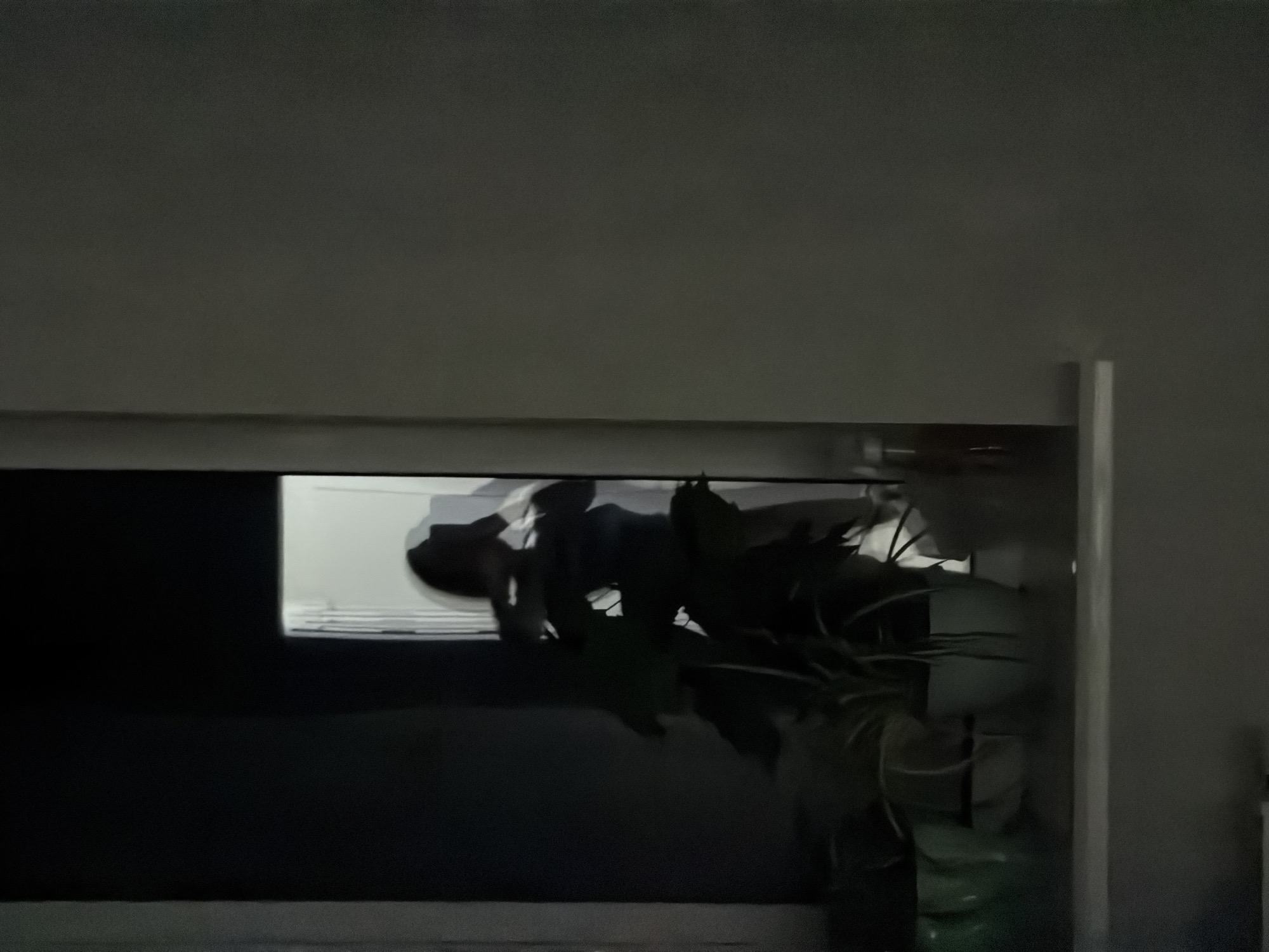 A dimly lit, low-angle shot depicts a partially obscured view of what appears to be an interior space, possibly a room. A dark, reflective surface dominates the foreground, suggesting it might be a television screen or window. Through the screen, a lighter area reveals vague shapes, possibly including a person or objects. In the right foreground, a potted plant with dense foliage is partially visible. The environment is muted, with a somber atmosphere. There is no concrete evidence of Chaikovsky, Russia.