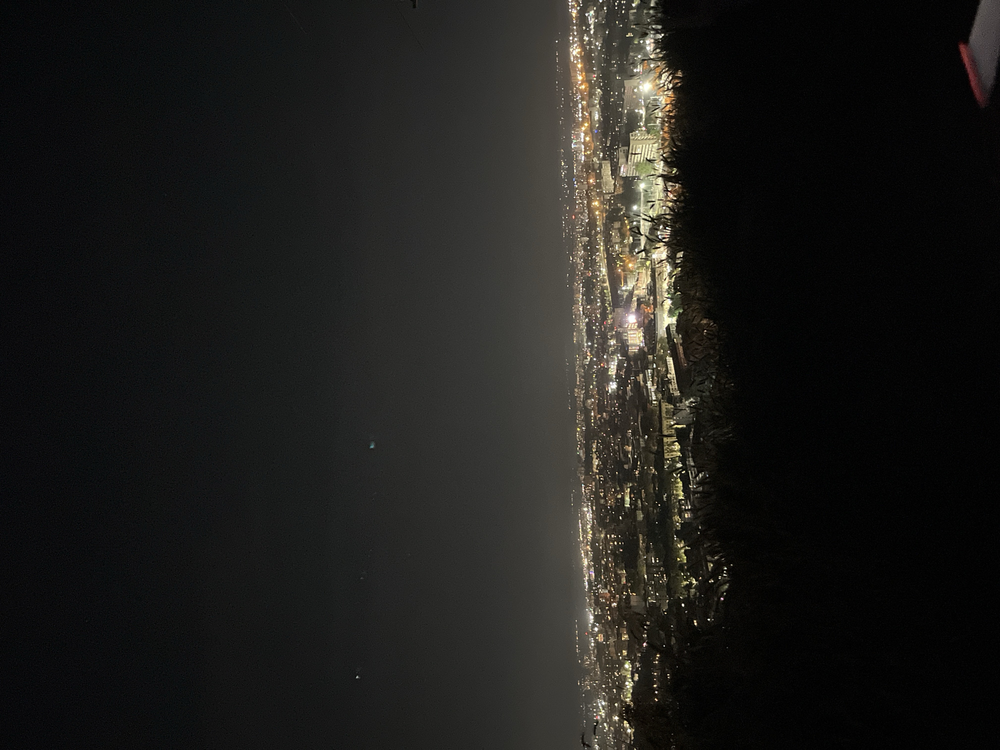 The image shows a nighttime view of a city from an elevated position, possibly a hillside overlooking Plovdiv, Bulgaria. The right side of the image is dominated by dark, blurred foliage suggesting a foreground of trees or shrubbery. The city stretches across the middle of the image, illuminated by numerous points of light from streetlights, buildings, and possibly vehicles. These lights form dense patterns indicating the urban structure. The left side of the image displays a dark, hazy sky with only a few faint lights visible, suggesting the edge of the city or a less populated area.