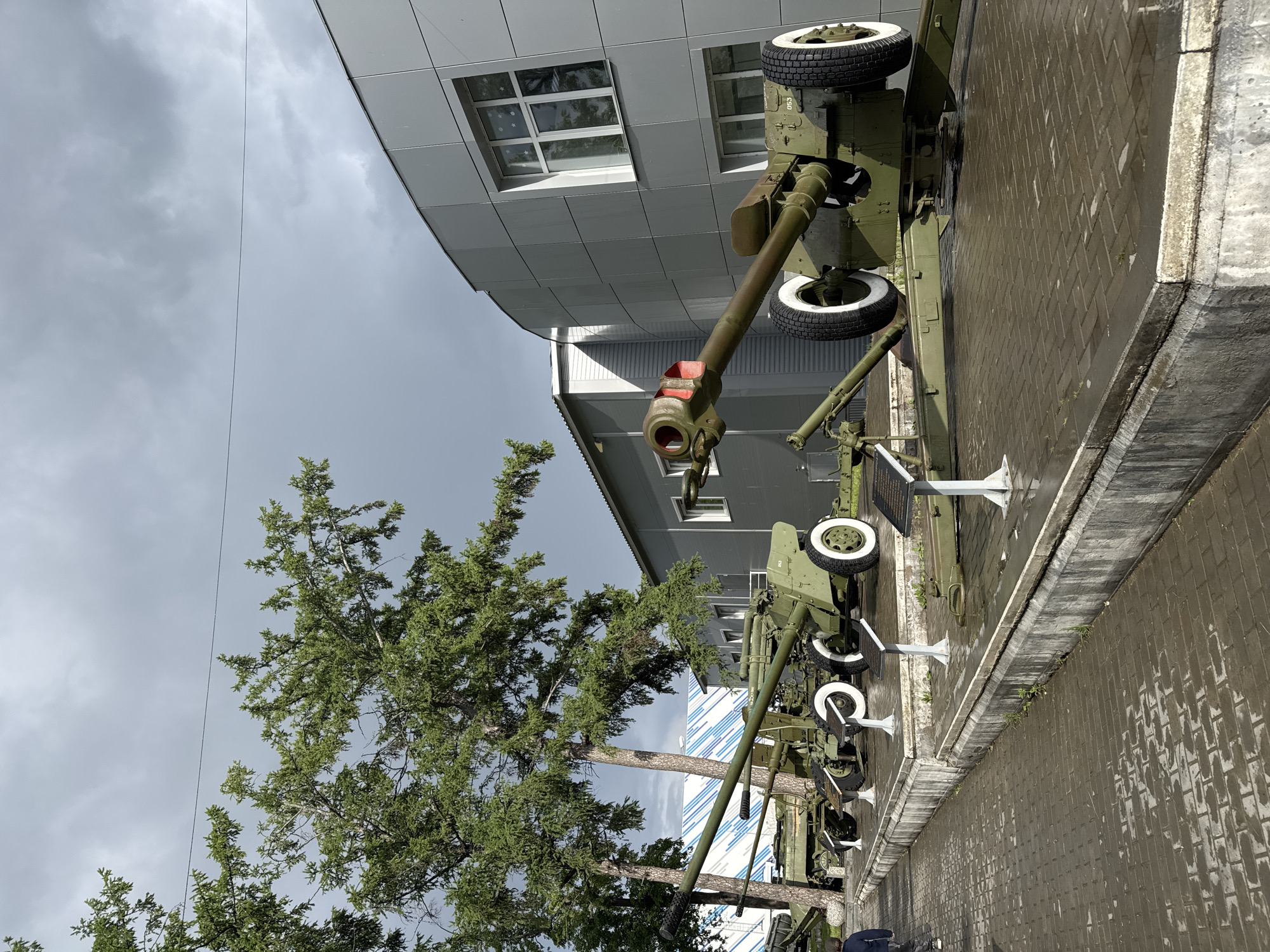 The image shows a row of green artillery cannons displayed on a brick walkway in the city of Votkinsk, Russia. The cannons are aligned parallel to a modern, gray building with windows. A tall evergreen tree stands to the left of the cannons, partially obscuring them. The sky is overcast. The brick walkway appears wet, suggesting recent rain. The cannons have white-rimmed tires and their barrels are pointed towards the viewer. There are white display stands placed beneath each cannon.