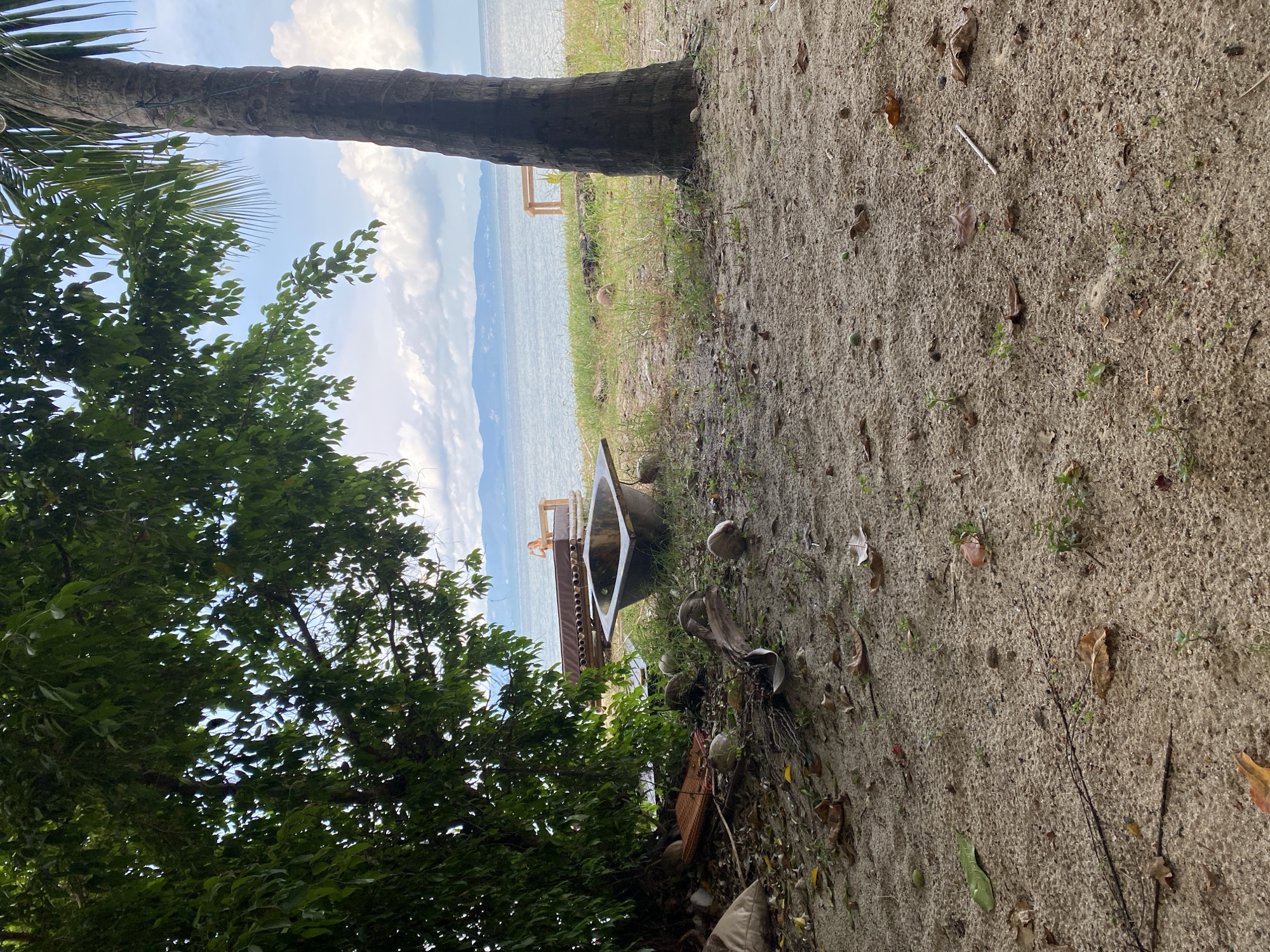The image shows a beach scene in Baan Tai, Thailand. A sandy ground occupies the foreground, littered with leaves and debris. A tree trunk is on the left, and a lush green tree occupies the lower-left corner. In the background, a beach shack with a white water reservoir faces out towards the water. The ocean stretches into the distance, where a mountain range is visible. The sky is pale blue with clouds.