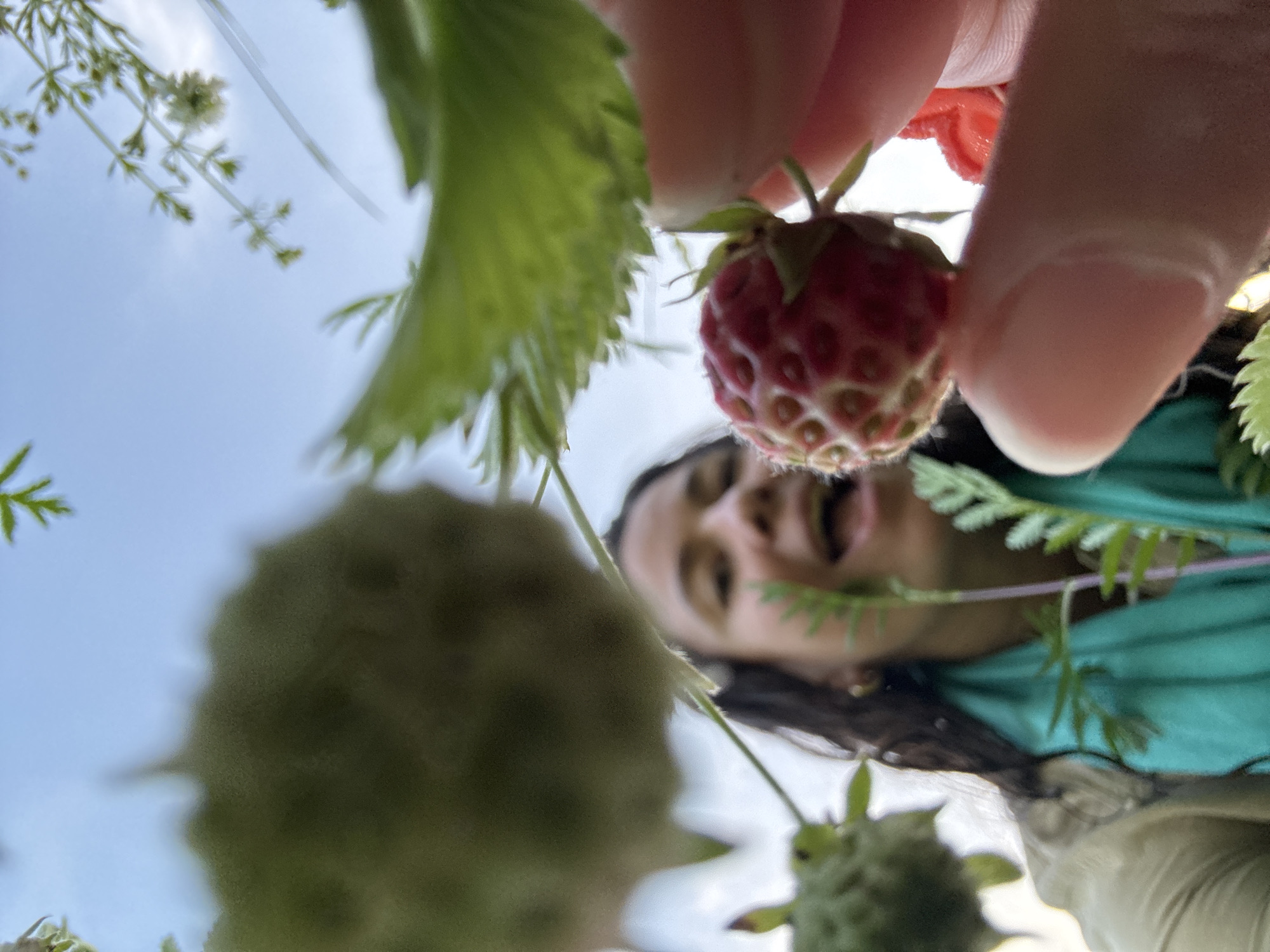 The image depicts a low-angle, close-up view of a person holding a wild strawberry in their fingers, with the sky and foliage visible in the background. The person, whose face is out of focus, appears to be smiling or laughing. They are wearing a light-colored jacket and a turquoise scarf. The strawberry is a vibrant red and is prominently featured in the foreground, supported by the person's thumb and index finger. The environment suggests an outdoor setting, possibly a garden or natural area, with green leaves and stems of plants surrounding the subjects. There is no information in the image to indicate the location is Kamysh, Russia.