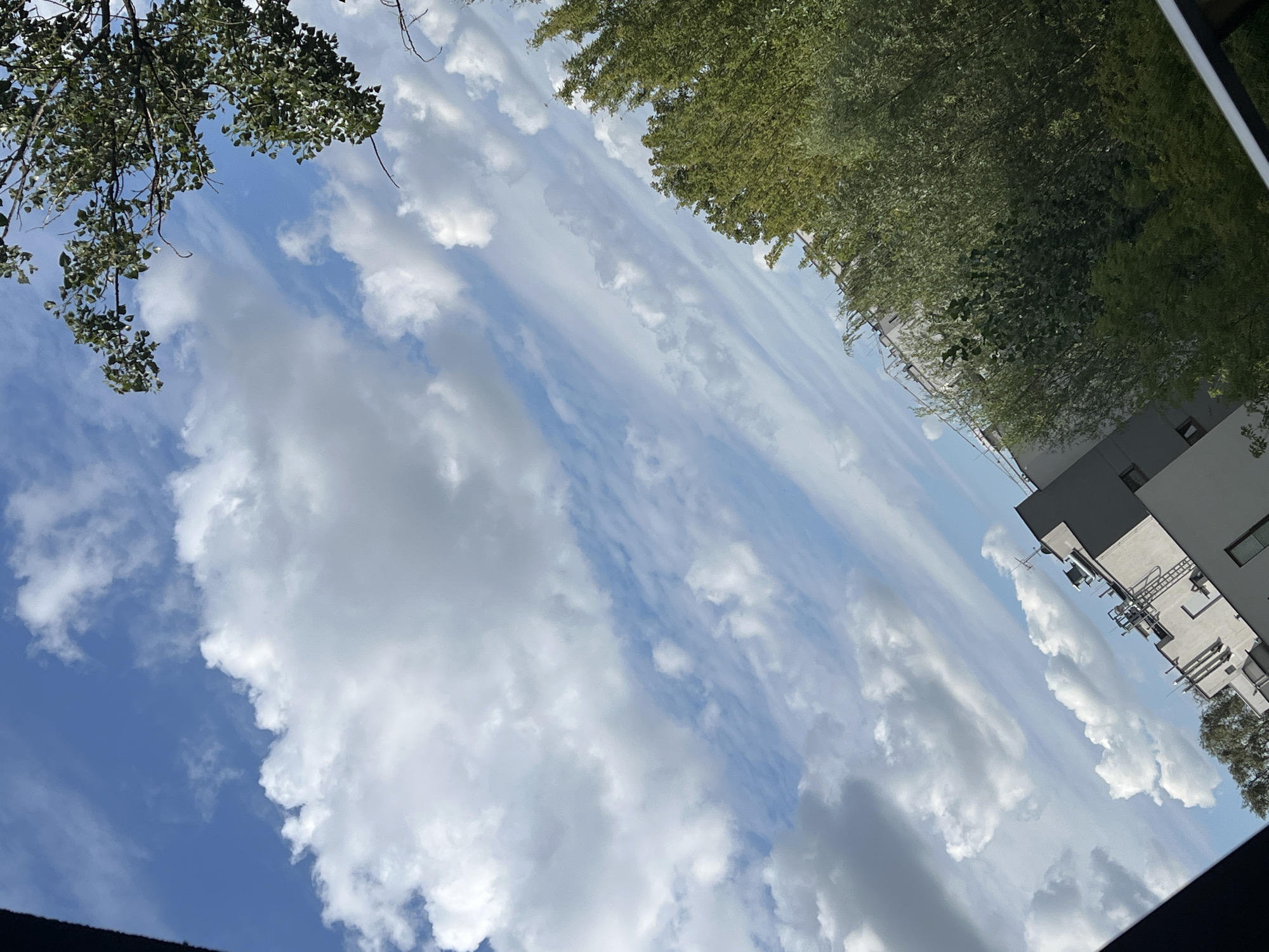 The image is an outdoor, diagonal shot of a cloudy blue sky over an urban environment. In the upper right corner, a portion of a tree with green leaves is visible. The middle and lower portions of the image show the rooftops of modern buildings, characterized by white and grey facades, windows, and rooftop equipment such as vents and pipes. Lush green trees partially obscure the buildings on the right side of the frame. The scene suggests a bright, possibly sunny day with scattered clouds. The location is identified as Warsaw, Poland.