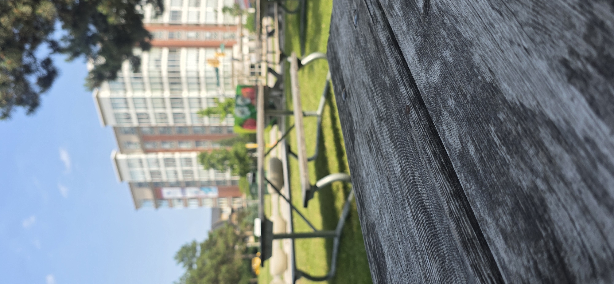The image shows a close-up of a weathered wooden picnic table in the foreground, with a blurred background of a park scene. In the background, there are picnic benches, green grass, trees, and two tall buildings with numerous windows. The sky is blue, suggesting it is daytime and likely good weather. The perspective is from a low angle, looking upwards. The wooden texture of the table is prominent, with visible grain and some darker patches, suggesting it is outdoors and exposed to the elements. The picnic benches in the middle ground appear to be made of wood and metal. A green object with what looks like red fruit or a pattern is visible on one of the picnic tables. The buildings in the background are modern apartment or office buildings. There is no activity or people visible in the image, creating a sense of quietness or stillness. The location is identified as Pickering, Canada. No visible text is clearly legible.