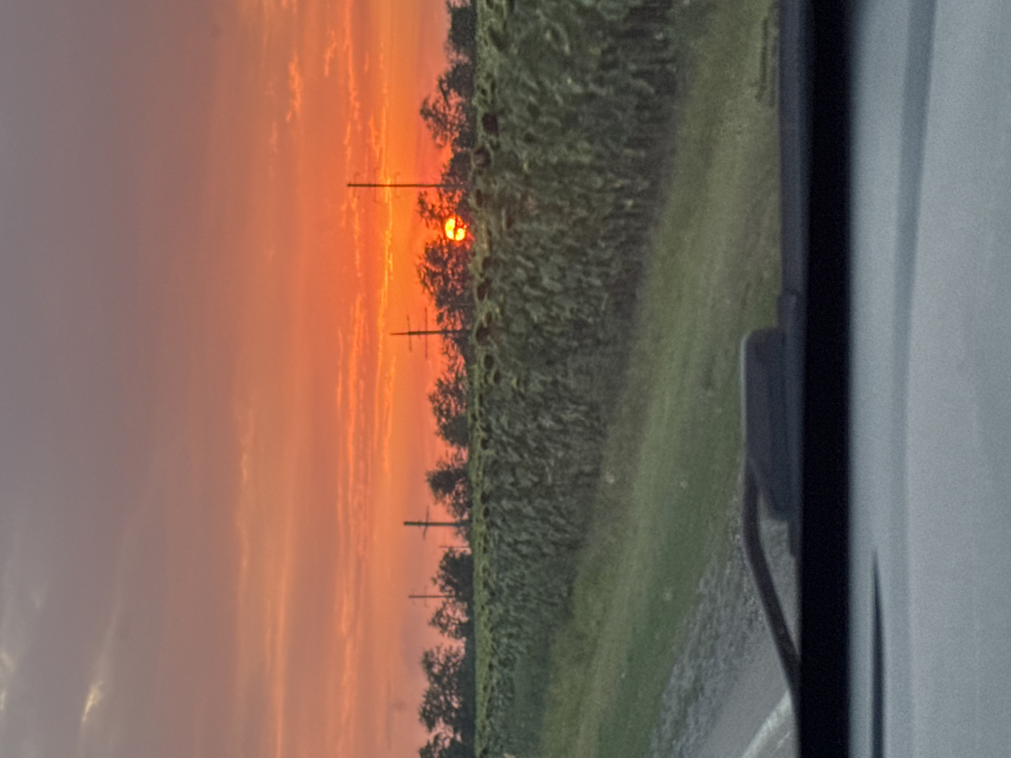 A scenic sunset is captured from inside a vehicle, looking out over a vast field of sunflowers. The sky is a vibrant gradient of orange and red, with hints of gray clouds. The sun, a bright orange orb, is setting behind a line of trees and power lines, casting a warm glow over the landscape. The field of sunflowers stretches horizontally across the frame, their heads drooping slightly, suggesting the end of their blooming season. A grassy slope leads down to a dirt road in the foreground, and a portion of the vehicle's dashboard and windshield wiper is visible, framing the view. The image appears to be taken in Razvilnoye, Russia, based on the provided context.