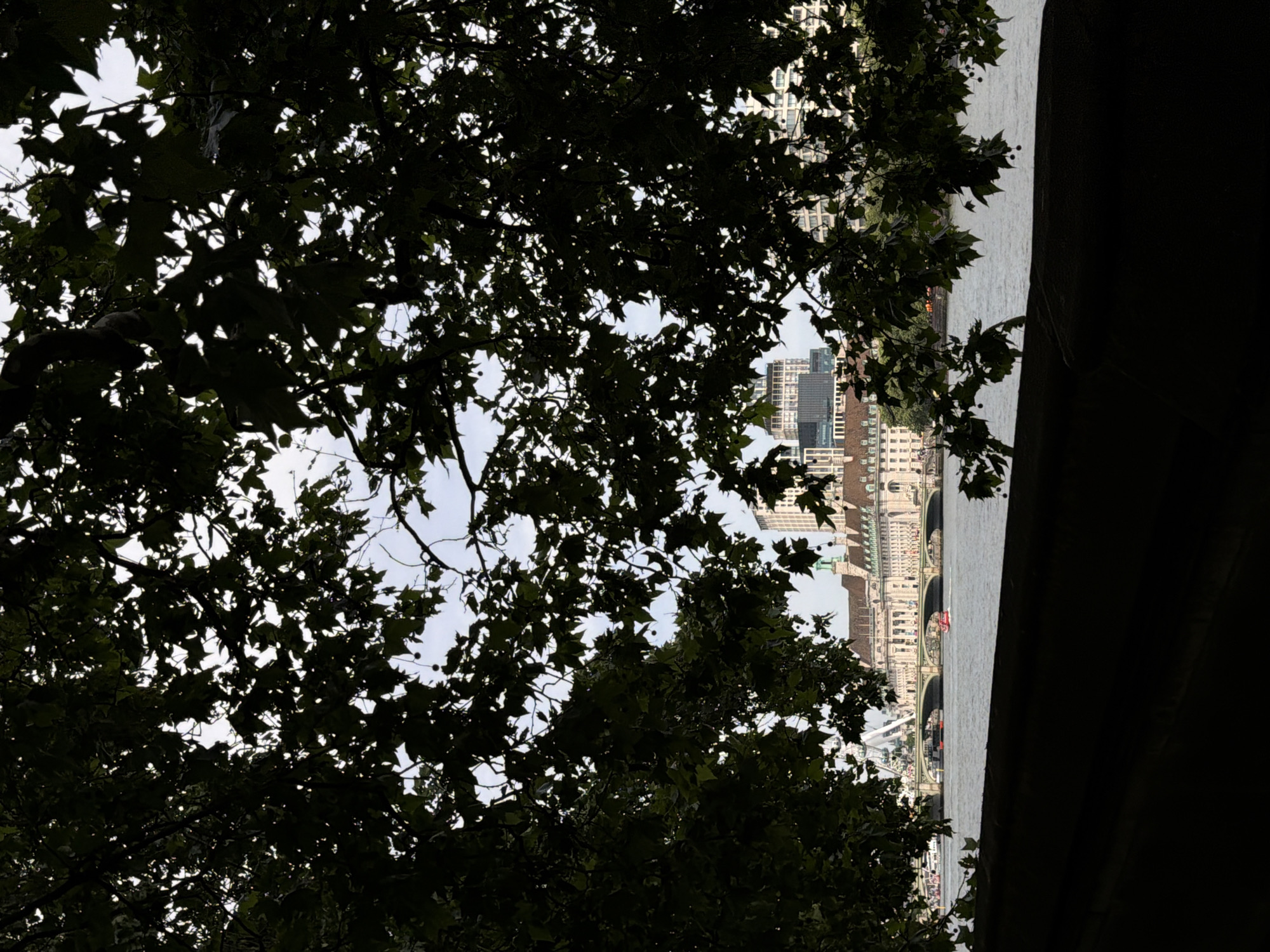 The image shows a view in London, United Kingdom. The foreground is dominated by the dark silhouette of tree foliage. Through the gaps in the leaves, a cityscape is visible, including buildings and a bridge. The River Thames is also visible, running vertically in the scene. A dark structure is partially visible in the right of the image. The London Eye and other landmarks are visible on the horizon. A red boat is going down the River Thames.