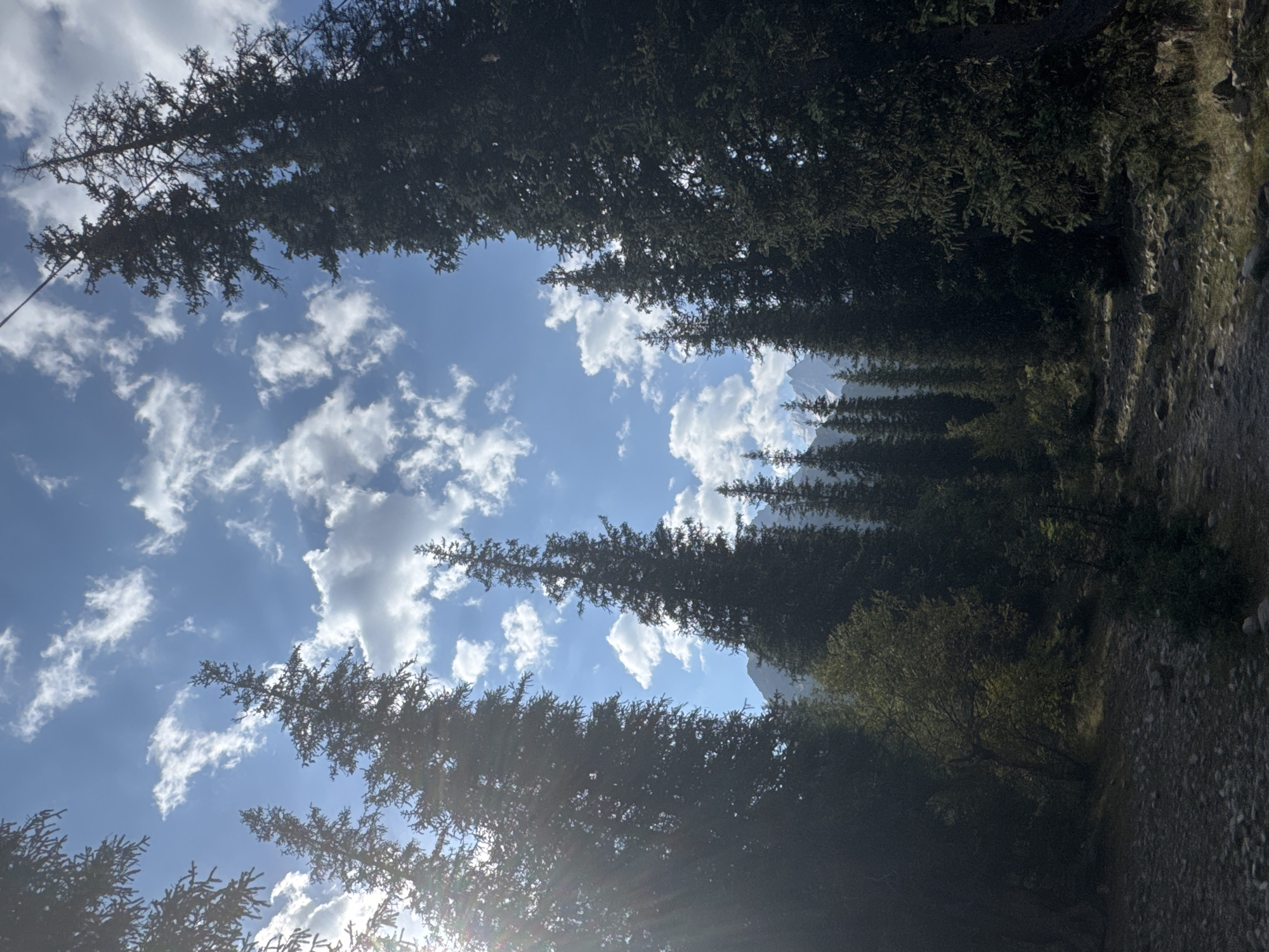 The image depicts a forest scene with tall evergreen trees framing a view of the sky and distant mountains. The sky is a bright blue, dotted with fluffy white clouds, and the sun is casting rays through the trees on the left side of the frame. The foreground is a rocky, uneven path leading into the forest. The trees are dense and dark, with some dappled sunlight filtering through. In the distance, snow-capped mountains are visible between the trees. The location is identified as an unknown area in Kyrgyzstan, suggesting a natural, possibly mountainous, environment. There are no people or animals visible in the image, and the scene appears to be peaceful and undisturbed.