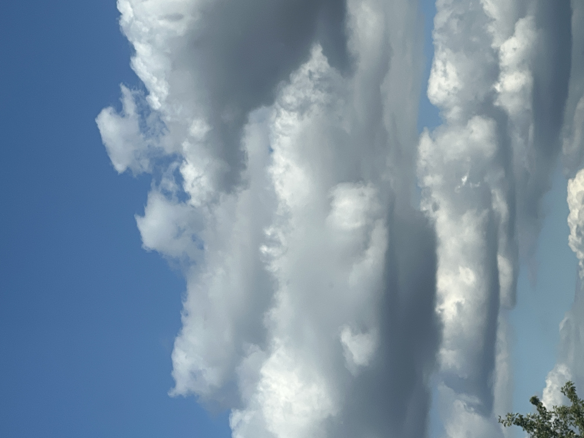 The image shows a sky filled with dramatic clouds, ranging from bright white cumulus formations to darker, heavier storm clouds. The blue sky peeks through in some areas. In the lower left corner, the top of a green tree with leaves is visible. The scene is a natural outdoor environment, not specific to any city.