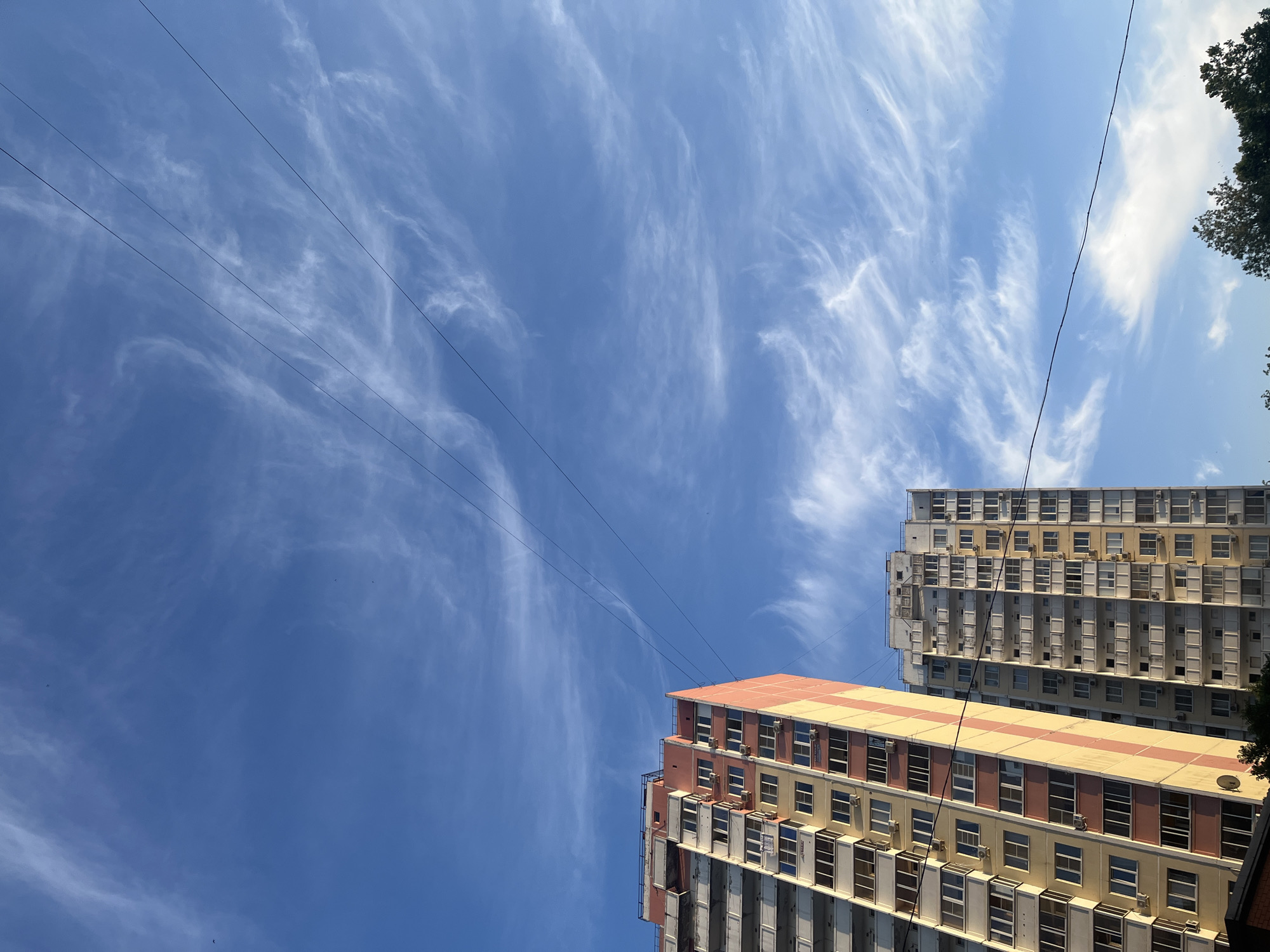 This media file depicts an upward-looking view of two apartment buildings against a bright blue sky with wispy white clouds. Multiple power lines crisscross the sky, adding a linear element to the composition. The buildings are tall and appear to be made of concrete with a facade of windows and balconies. The building in the foreground has a pink and yellow patterned roof, and the building behind it is predominantly a light yellow color. The overall impression is one of an urban setting on a clear, sunny day. The time of day appears to be daytime, given the bright sky and clear visibility. There is no specific activity or event taking place, and no people are visible. The location context provided is Krasnodar, Russia.