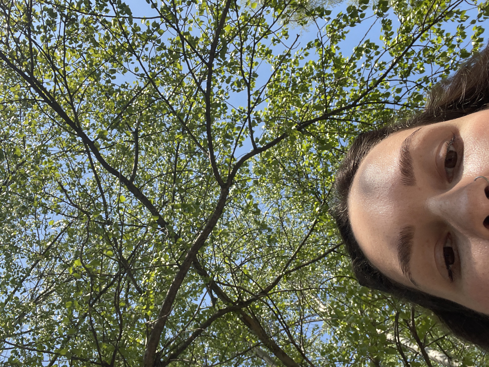 A low-angle, candid photograph shows the right side of a person's face and a tree with green leaves against a blue sky. The person's face is positioned in the right of the frame, showing their forehead, eyebrows, eyes, nose, and some hair. The person has dark hair, light skin, and a nose piercing. The tree branches, covered with green leaves, are in the left of the frame and reach upwards towards the sky. The sky is visible through the leaves and branches. The location is unknown.