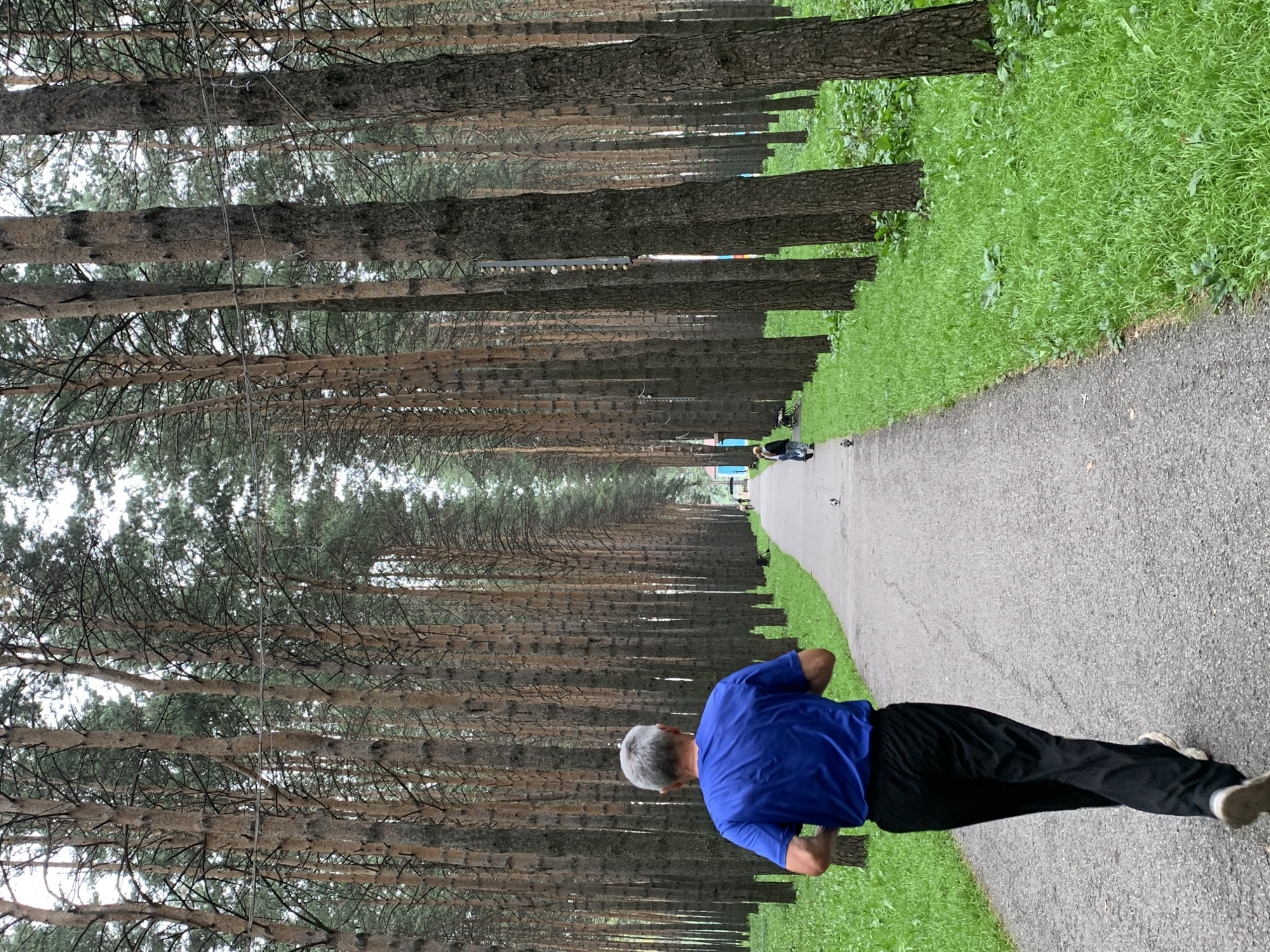 An elderly man with gray hair is jogging away from the camera on a paved path in a pine forest. He is wearing a bright blue t-shirt and black pants. The path is lined on both sides with tall, slender pine trees that create a symmetrical, tunnel-like effect. Lush green grass grows on either side of the path. In the distance, another person is walking on the path, and a small bird is visible on the path. The sky appears overcast. This scene is located in a park or forest in Prokopyevsk, Russia, likely a recreational area for residents.