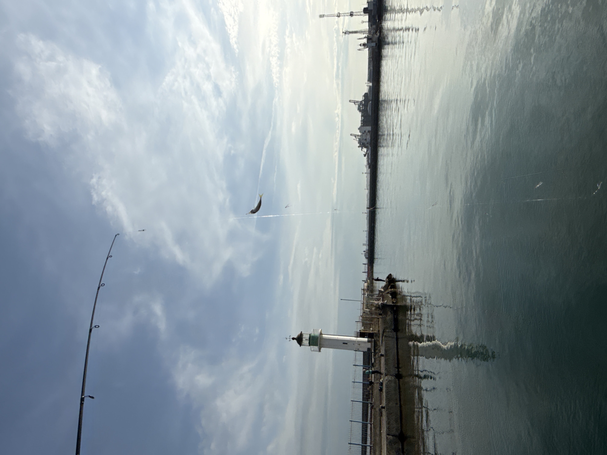 Here's a description of the image:
The image depicts a fishing scene in Burgas, Bulgaria, near a pier and lighthouse along the Black Sea. A fishing rod is visible on the left side of the image, with a caught fish suspended in the air on the fishing line. In the background, there's a pier with a white and green lighthouse, a fenced walkway, and people fishing along the edge. Beyond the pier is a cityscape with industrial structures such as cranes and buildings reflecting on the water. The sky is partly cloudy. The body of water occupies a significant portion of the right side of the image.