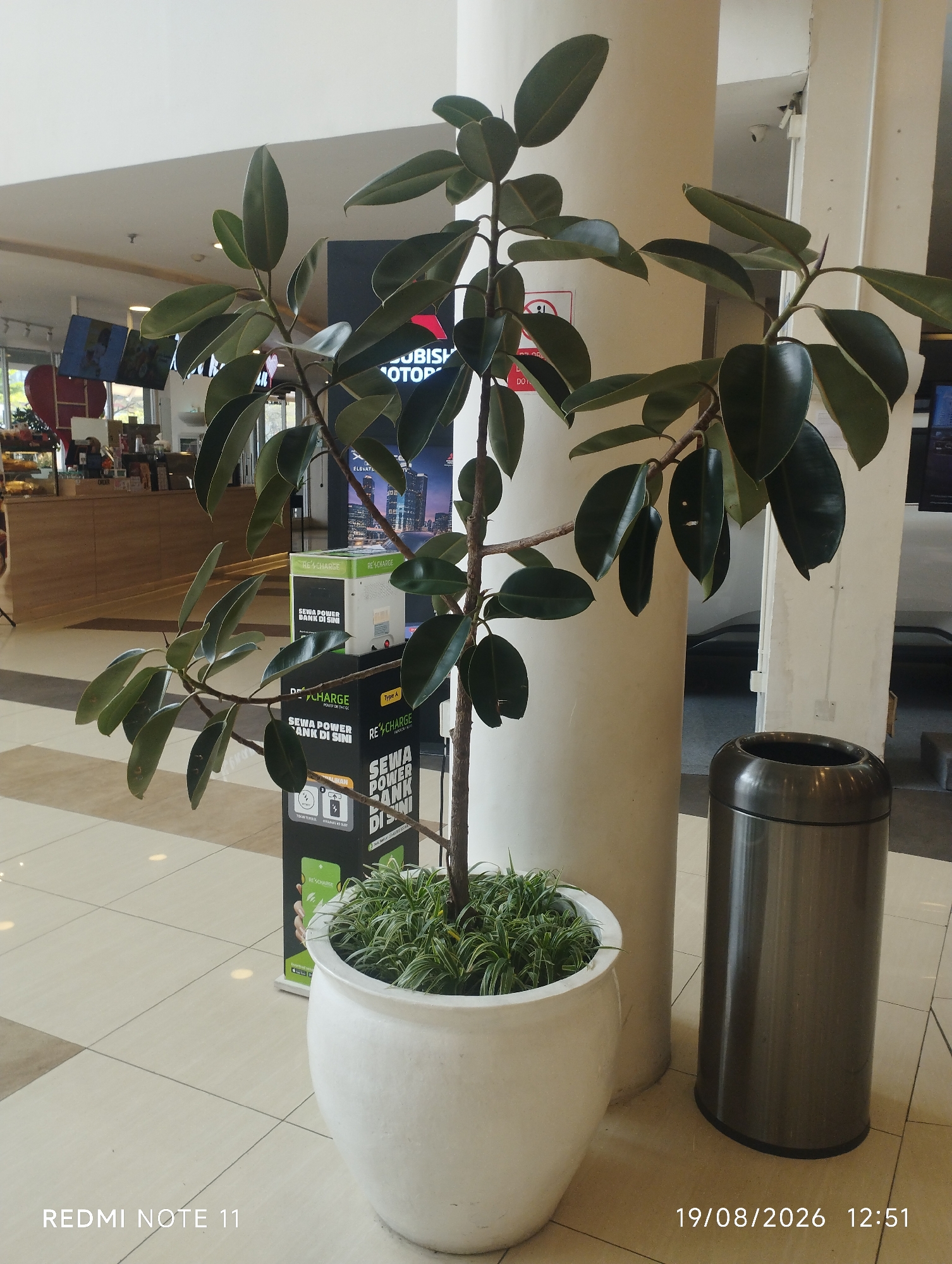 The image captures a indoor scene, possibly a public space or a commercial establishment, with a large potted rubber plant as the central subject. The plant has dark green, glossy leaves and a thick, woody stem. It is housed in a large, white, ovular pot. To the right of the plant, a tall, cylindrical metal trash can is visible. In the background, a large, off-white pillar or column stands. Behind the plant and to its left, there is a black and green charging station advertising "SEWA POWER BANK DI SINI" (Rent Power Bank Here). Further in the background, a counter area resembling a cafe or food stall with display cases is visible, along with televisions mounted on the wall displaying graphics. The flooring appears to be tiled with a light beige and cream checkered pattern. The overall lighting suggests an indoor environment. The lower left corner of the image displays "REDMI NOTE 11" and the lower right corner shows "19/08/2026 12:51".