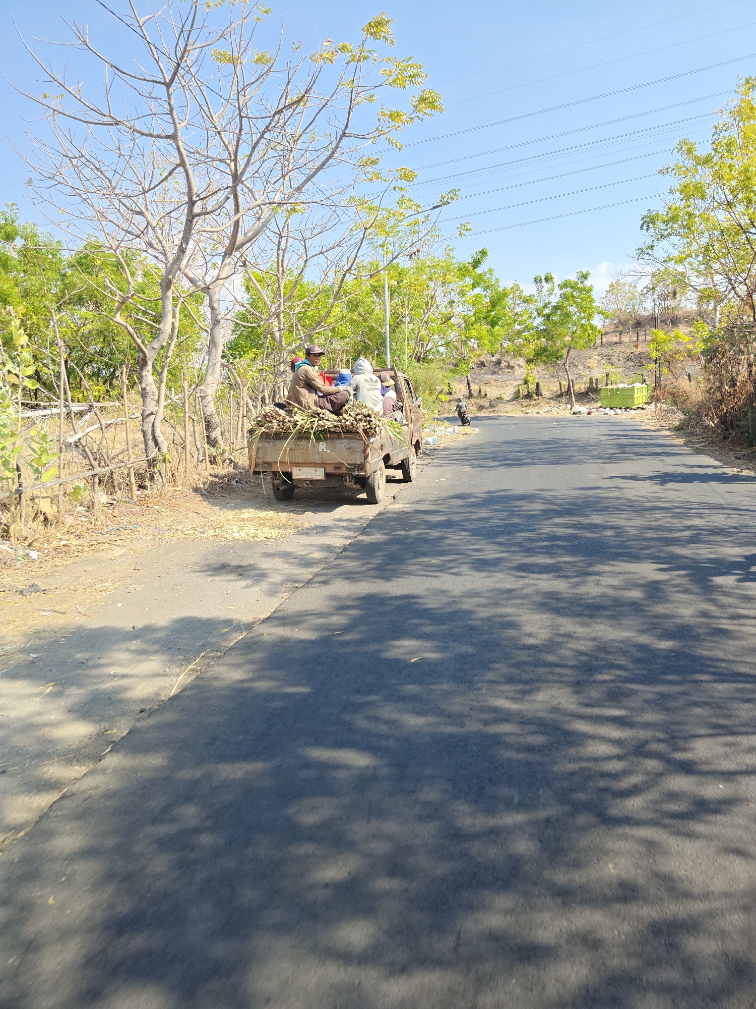 In Klampokan, Indonesia, a small truck is parked on the side of a paved road. The truck is loaded with what appears to be harvested sugarcane stalks. Three individuals are seated in the back of the truck, atop the sugarcane. One person is wearing a brown jacket and a cap, another a light-colored hooded sweatshirt, and a third is partially visible. The truck is parked on a dirt shoulder next to the road. The environment is dry and arid, with sparse vegetation and trees lining the road. In the background, there is a slight incline with more trees and vegetation. Power lines are visible in the sky, spanning across the scene. To the right of the road, a large, green dumpster is visible. The road surface is asphalt, and shadows from overhead trees are cast across it.