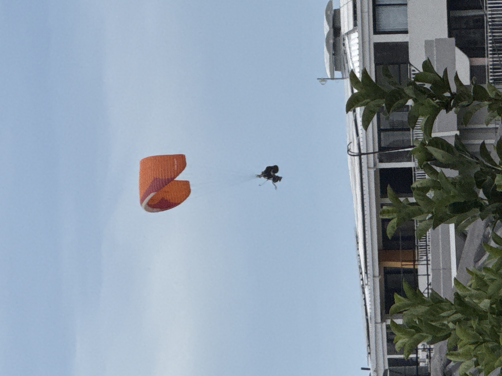The image shows a paraglider with two people flying in the sky. The paraglider is orange and red. A building is visible on the right side of the frame, partially obscured by leaves. The sky is light blue. The location is Cape Town, South Africa.