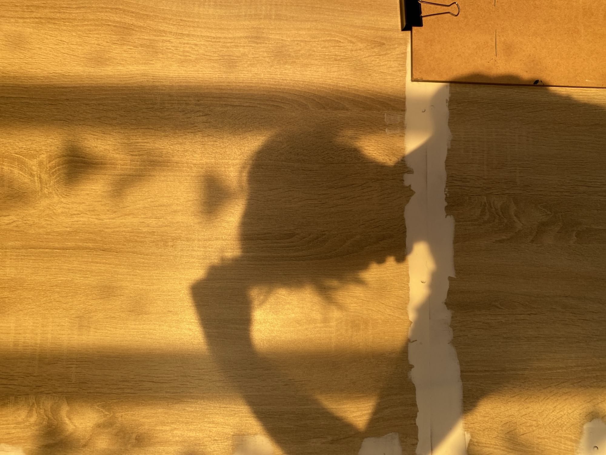The image shows a shadow cast on a wooden-paneled wall in Bílina, Czechia. The shadow depicts a person's head and arm, with the arm raised as if touching their hair or head. A strip of white material, possibly spackle or tape, runs horizontally across the lower portion of the wall, obscuring the bottom of the shadow. To the right of the wall, a corner of a brown board with a black clip is visible. The lighting suggests the shadow is cast by late afternoon or early morning sun, creating a warm, golden hue on the wood grain.
