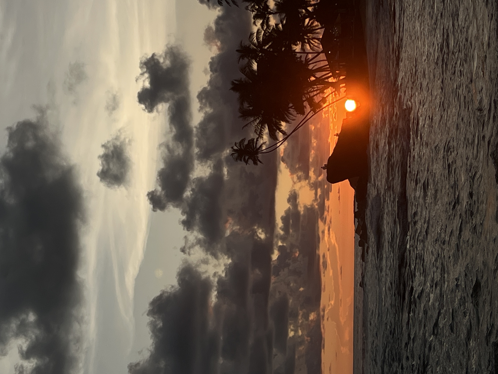 A sideways photograph depicts a beach scene during sunset in Talpe, Sri Lanka. Silhouetted palm trees are visible against the setting sun, which is positioned near the horizon. To the left, dark clouds fill the sky. To the right, the rough texture of a rocky shoreline contrasts with the smooth surface of the water.