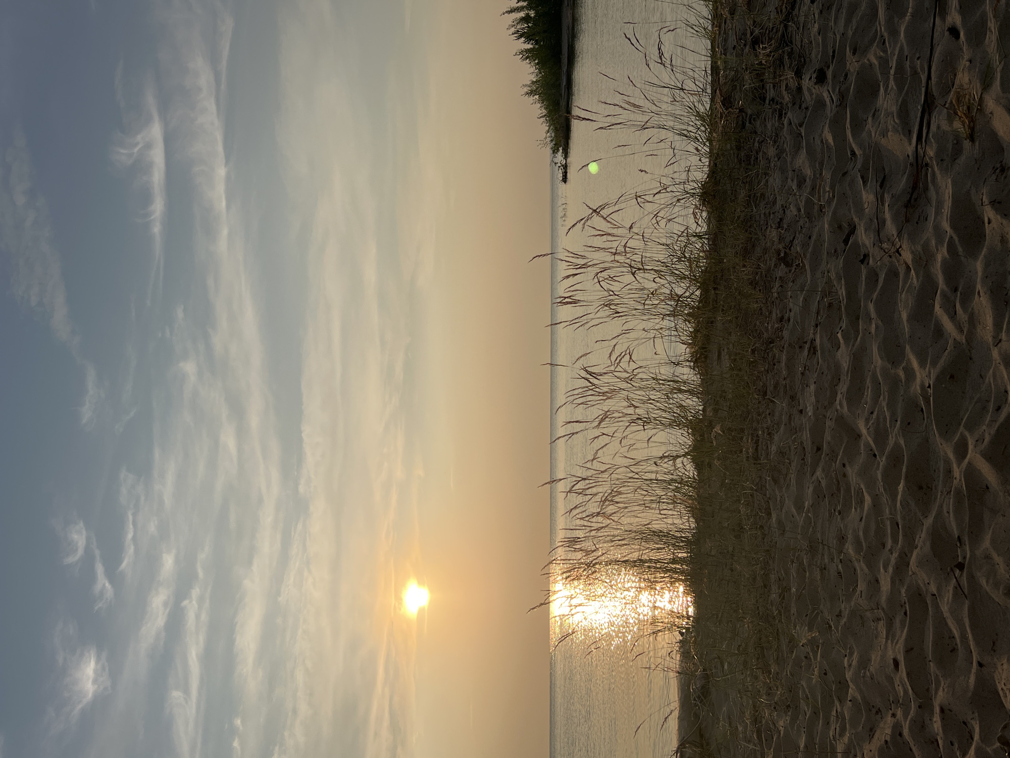 The image depicts a serene beach scene at sunset. The sun, a bright, glowing orb, is low on the horizon, casting a warm, golden light across the sky and water. Wispy clouds stretch across the sky, catching the sunset's hues. The foreground is dominated by a sandy beach with textured ripples, suggesting recent wave action or wind. Tall, dry grasses and reeds grow along the edge of the sand, their delicate seed heads swaying gently.
The water is calm, reflecting the sunlight in a dazzling shimmer. In the distance, a thin strip of land with trees is visible, hinting at a shoreline or a small island. A faint, almost indiscernible green circular object is visible near the tree line, possibly a reflection or another distant light source. The overall atmosphere is peaceful and tranquil, evoking a sense of calm and natural beauty. The time of day is clearly sunset due to the low sun and warm colors. The location appears to be a natural beach, possibly a lake or sea, with sand and vegetation. No people, objects, or text are clearly visible.