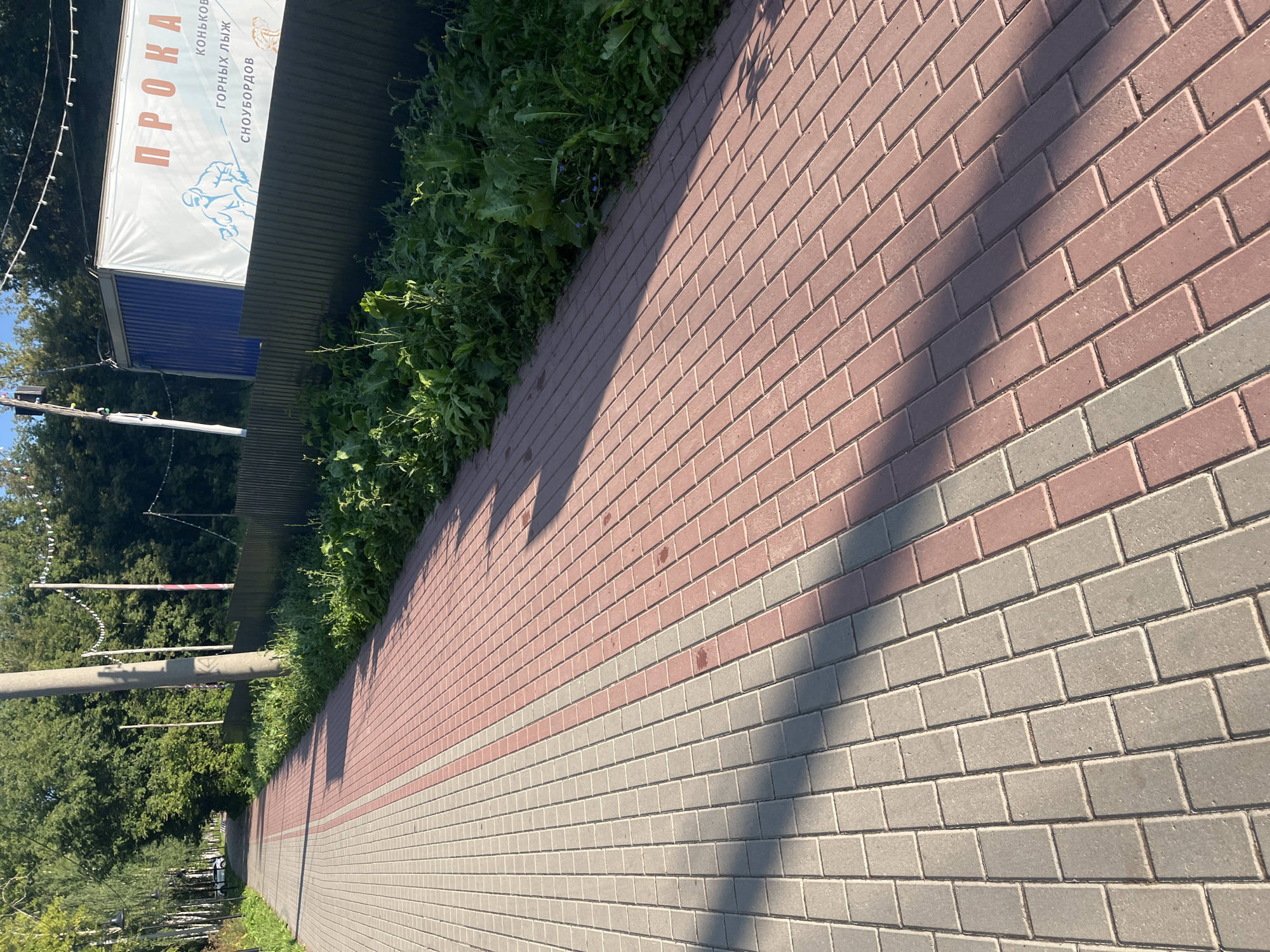 The image depicts a paved walkway with alternating grey and red rectangular pavers, leading into the distance. Green trees and foliage line the right side of the walkway, with a dark wooden fence in the background. Above the fence, a blue shipping container with a white banner is visible. The banner displays text in Russian and illustrations of people engaged in winter sports, suggesting a rental facility for ski and snowboard equipment. A utility pole stands on the left side of the walkway. The scene appears to be an outdoor recreational area, possibly in a park or along a waterfront. The light suggests it is daytime, with shadows cast on the walkway. Based on the Russian text on the banner, the location is likely in Russia, and the style of urban planning and green spaces suggests it could be Ufa.