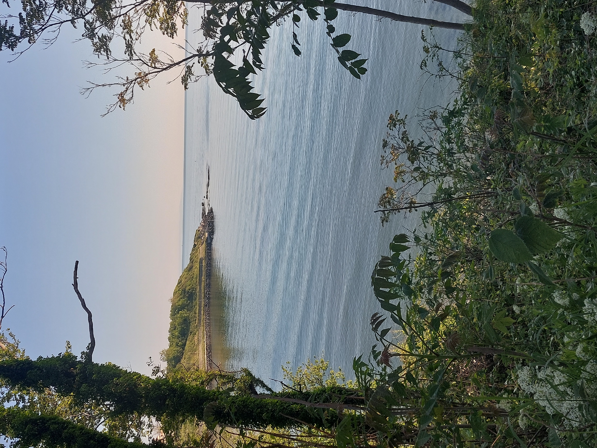 The image depicts a view of the sea from a vantage point within the city of Tsarevo, Bulgaria. The scene is framed by foliage, including trees and bushes, in the foreground. A strip of land with a man-made structure along the coast protrudes into the sea. The water itself is slightly choppy, reflecting the sky, which appears clear and bright, suggesting daylight.