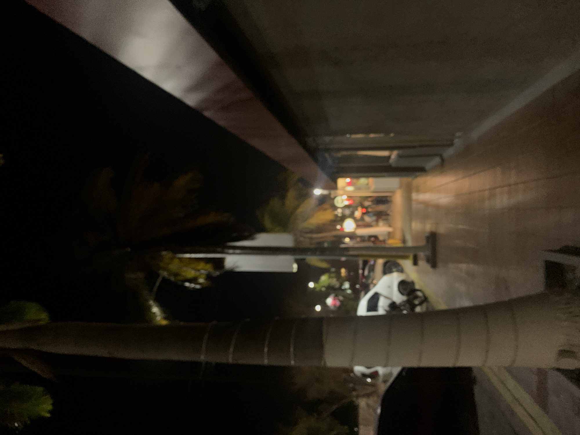 Captured at night, the image presents a view from beneath an architectural overhang, with a palm tree dominating the foreground. The overhang's structure is visible, leading to a brightly lit corridor or commercial space in the background. The city of Porlamar, Venezuela, is suggested by the presence of palm trees and architectural styles typical of urban areas in this region. A closer examination reveals details like street lights and blurred figures in the background, indicating activity within the corridor. A partially visible vehicle can also be seen. The overall scene depicts a moment in an urban setting.