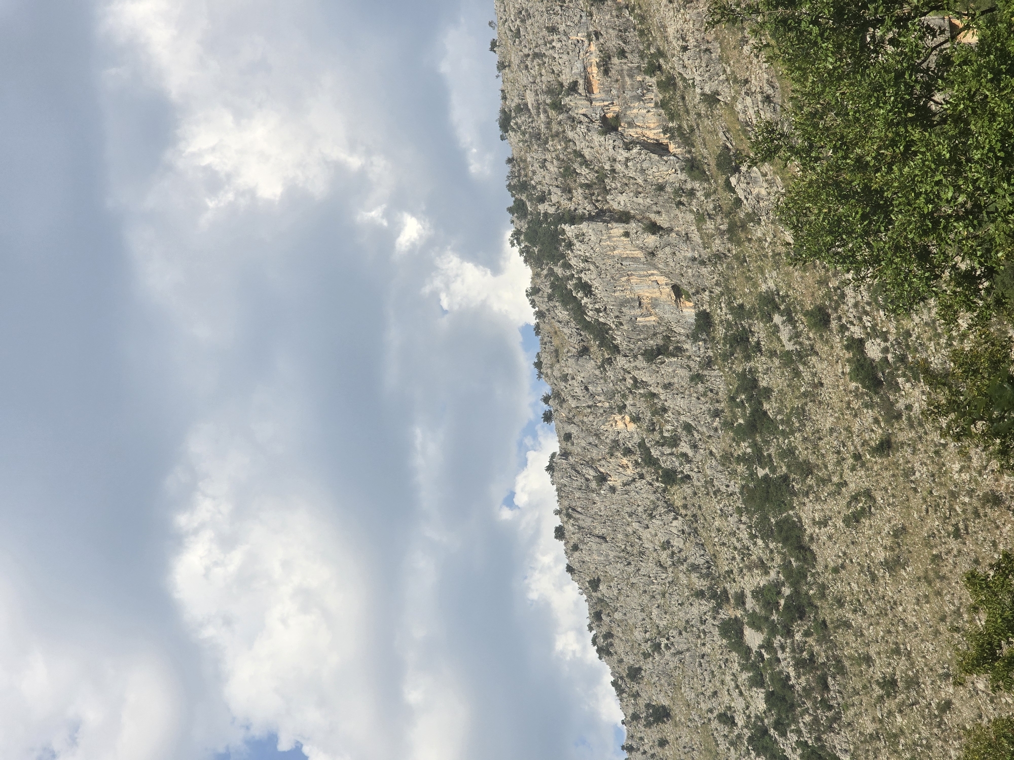 A rocky mountainside with sparse vegetation is visible under a cloudy sky. The mountain slope is covered in light-colored rocks and patches of dry grass, with scattered dark green bushes and small trees. Some larger trees with lush green foliage are in the foreground, partially obscuring the lower part of the mountain. The sky is filled with large, white and gray clouds, with hints of blue sky peeking through. The image appears to be a landscape photograph taken in a natural, mountainous environment. This scene is consistent with areas surrounding Podgorica, Montenegro, known for their rugged terrain and Mediterranean vegetation.