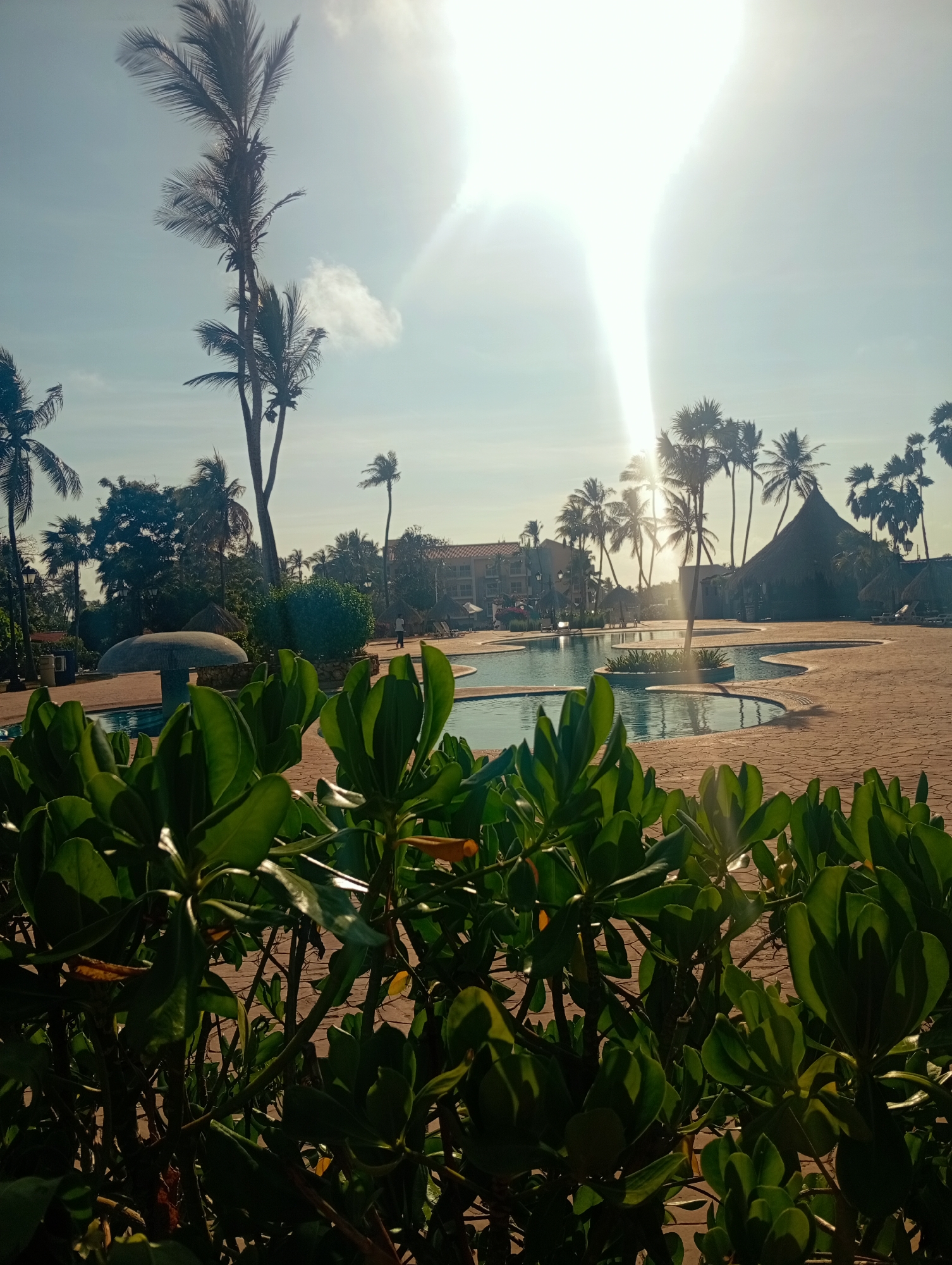 The image presents a vibrant, sun-drenched tropical resort scene in Playa El Agua, Venezuela. In the immediate foreground, lush, dark green foliage with broad leaves fills the bottom portion of the frame, slightly out of focus.
Beyond these plants, a large, irregularly shaped swimming pool with clear water reflects the sky and sunlight. The pool is bordered by a light-colored, patterned paved area, suggesting a walkway or sun deck. To the left of the pool, a distinct mushroom-shaped structure, possibly a decorative fountain or shade, is visible.
The midground and background are characterized by numerous tall palm trees, many of which are silhouetted against the bright sky due to strong backlighting. The sun, a brilliant source of light, is positioned in the upper center-right, creating significant lens flare and illuminating the scene with an intense glow. This direct sunlight indicates either an early morning or late afternoon time of day.
Architectural elements of the resort include a multi-story building peeking through the trees on the far left and a prominent structure with a high, peaked thatched roof on the right, possibly a bar or a large cabana. A few indistinct figures of people can be seen moving around the pool and paved areas. The sky is a clear, light blue with some scattered, wispy clouds. The overall impression is one of a serene, leisurely tropical vacation spot. No visible text is present in the image.