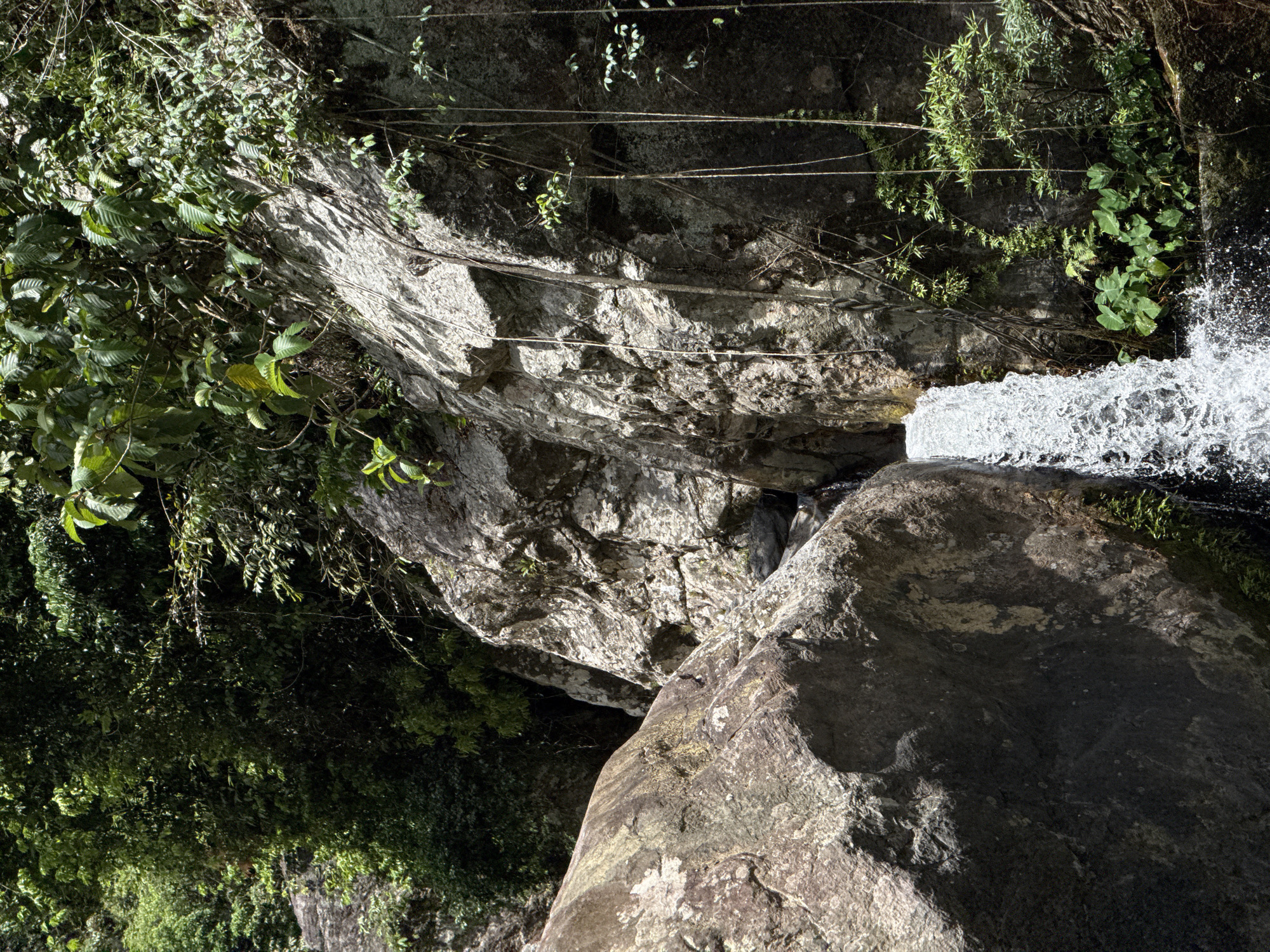 A narrow waterfall cascades down a rocky cliff face surrounded by lush green vegetation. Large boulders are visible in the foreground, with vines and branches hanging from the rock. The overall scene depicts a natural, tropical environment. This is a view of the Suoi Mo waterfall, located in the Hoa Vang district of Da Nang, Vietnam.