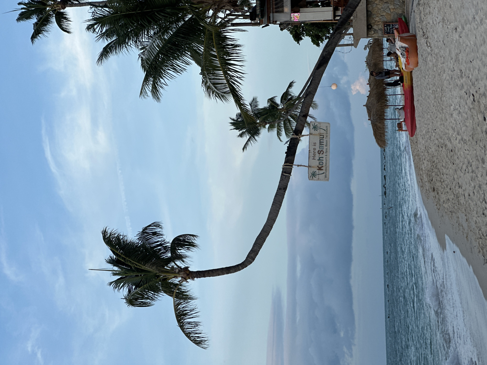 The image captures a serene beach scene in Koh Samui District, Thailand, likely during the late afternoon or early evening, given the soft lighting and cloudy sky. A distinctively curved palm tree dominates the foreground, its trunk arching gracefully over a sandy beach. A weathered sign attached to the palm tree reads, "Here is Koh Samui" and below that, "Mimosa Resort & Spa, Baan Tai beach."
The beach itself is composed of light-colored sand, with gentle waves lapping at the shore. In the mid-ground, several thatched-roof umbrellas provide shade over beach chairs and two kayaks, one red and one yellow, resting on the sand. A few people are visible near the umbrellas, some appearing to be seated and relaxing. To the right of the umbrellas, a structure built of stone and wood is partially visible, with some signage and lighting.
The ocean stretches out to the horizon, with a few indistinct dark shapes that might be buoys or small boats visible in the distance. The sky is a pale blue with scattered clouds, some of which appear dark and heavy, suggesting a possibility of recent or impending rain. The overall atmosphere is tranquil and inviting, characteristic of a tropical beach resort.