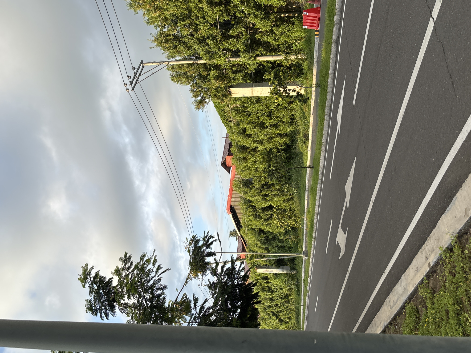The image depicts a street scene in Davao City, Philippines, likely during the late afternoon given the lighting. A paved road with clear white lane markings and directional arrows occupies the foreground, indicating traffic flow. To the right of the road, a dense hedge of green foliage runs along the property line, obscuring residential structures with red roofs visible above the greenery. A concrete utility pole with electrical wires stretches across the sky. A tall, grey metal pole is positioned on the far left of the frame, partially obscuring a leafy tree. Two concrete pillars, possibly part of a fence or structure, are visible amidst the hedge. Red traffic barriers are placed on the roadside to the far right. The sky is partly cloudy with diffused sunlight. No people are present in the image.