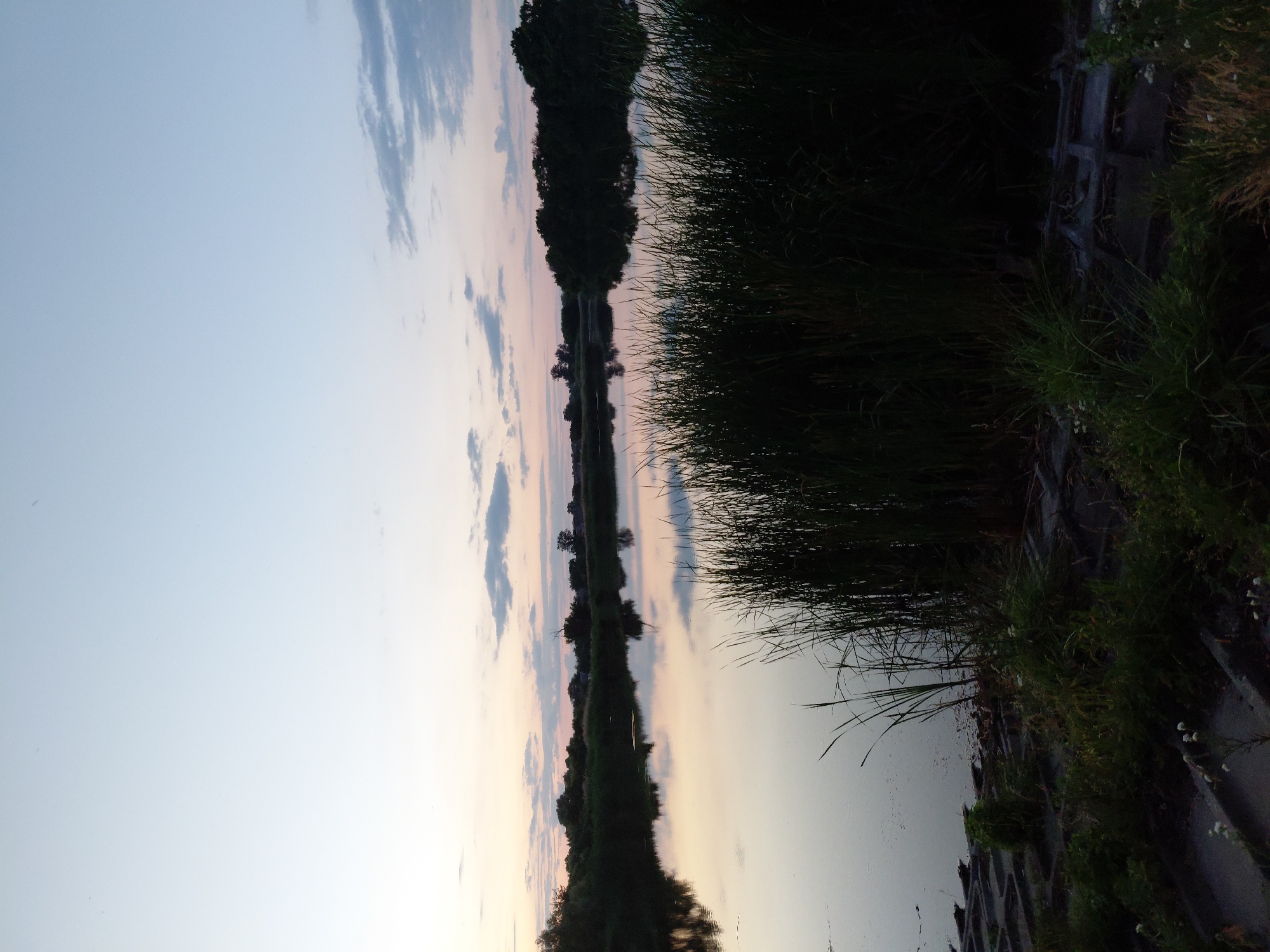 The image depicts a serene natural landscape at dusk, likely near Ustyvytsia, Ukraine. The scene is dominated by a calm body of water, possibly a lake or river, reflecting the soft hues of the fading sky. Tall reeds and grasses fringe the water's edge in the foreground, their dark silhouettes contrasting with the gentle light. In the background, a line of trees forms a natural boundary, their shapes softened by the twilight. The sky is a pale gradient of light blue and lavender, with a few wispy clouds adding texture. The overall atmosphere is one of tranquility and natural beauty. No people or specific man-made structures are discernible, reinforcing the impression of a remote, natural setting.