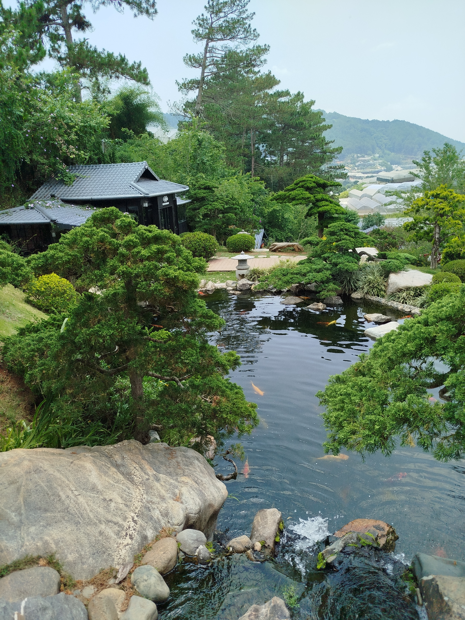 The image depicts a Japanese-style garden in Cam Ly - Đà Lạt, Vietnam. A black building with a traditional tiled roof is nestled among lush green trees. In the foreground is a pond with koi fish swimming. A small waterfall cascades over rocks into the pond. The scene is surrounded by trees, with mountains and greenhouses visible in the background.