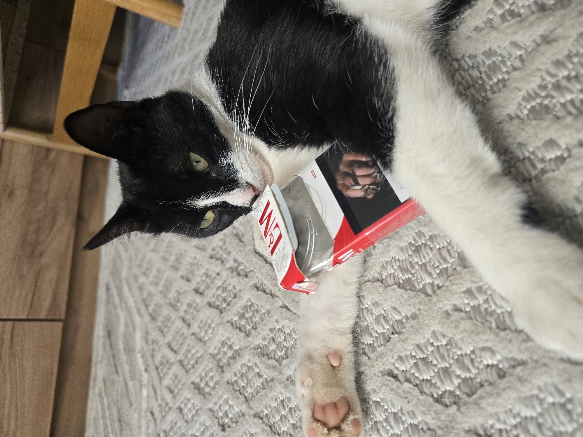 A black and white cat with green eyes lies on a textured grey carpet. The cat is holding a red and white pack of cigarettes with its left paw. The pack is open, revealing a clear plastic wrapper inside. The cat's right paw is extended to the left, with its pink paw pads visible. In the background, a wooden dresser and a portion of a wooden chair are visible. The scene is indoors, in an environment that could be a home.
