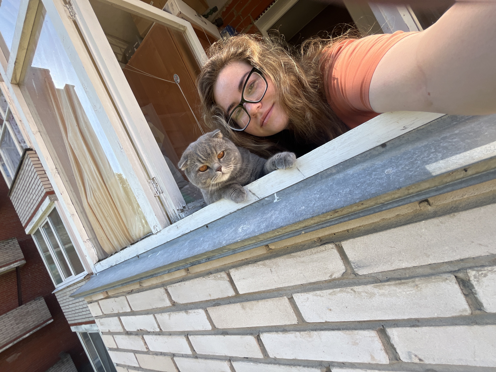 In an outdoor urban setting, likely in the city of Chaikovsky, Russia, a young woman with long, wavy brown hair and glasses is taking a selfie. She is leaning out of an open window, her right arm extended to capture the shot. Beside her, on the windowsill, a Scottish Fold cat with grey fur and distinctive folded ears looks towards the camera with orange eyes. The woman wears an orange t-shirt. The background reveals a brick building exterior and an interior view through the window, showing curtains and furniture. The perspective is from below the window, looking up at the subjects and the surrounding architecture.