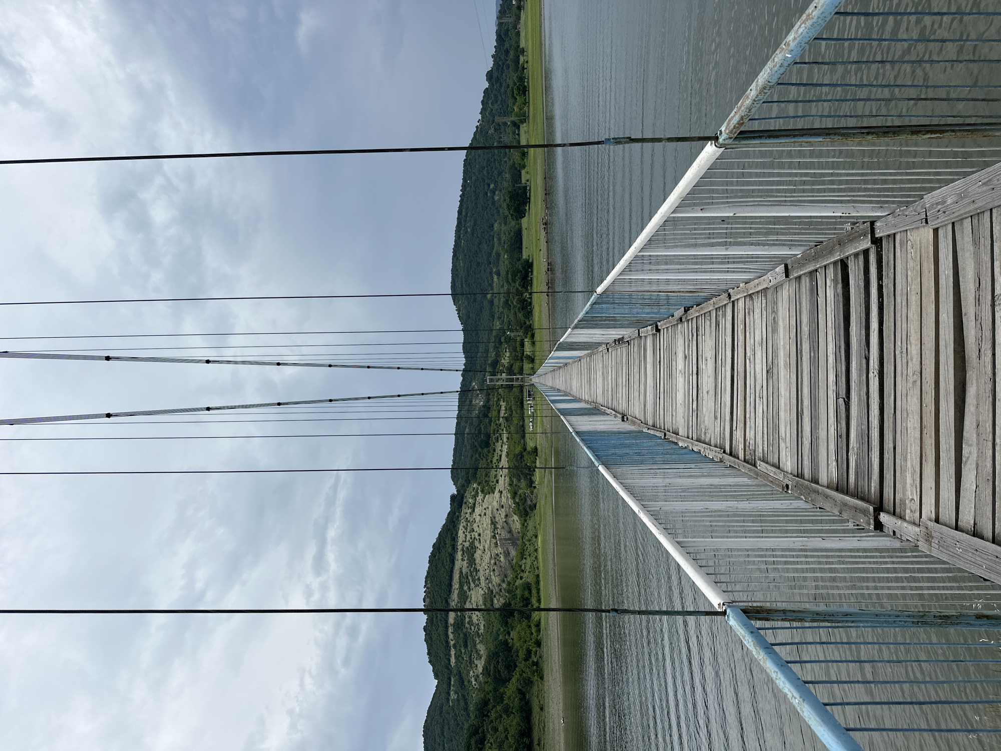The image depicts a narrow, weathered suspension bridge extending over a body of water in Lisitsite, Bulgaria, under an overcast sky. The bridge, constructed with a wooden plank deck, shows signs of age with uneven and slightly damaged planks. Metal railings, painted in faded blue and white sections, line both sides of the bridge, exhibiting rust and wear. Multiple dark suspension cables descend vertically from overhead, supporting the bridge structure.
The bridge traverses a calm, dark grey-green body of water, likely a lake or reservoir. On both sides of the water, a distant landscape of rolling hills is visible. These hills are covered with a mix of dense green foliage, sparse trees, and patches of lighter green or brownish grass. On the distant right shoreline, a small herd of animals, possibly cattle or goats, is gathered near the water's edge. The sky above is entirely covered with grey, diffuse clouds, indicating overcast weather conditions. No individuals are present on the bridge or in the immediate surroundings.