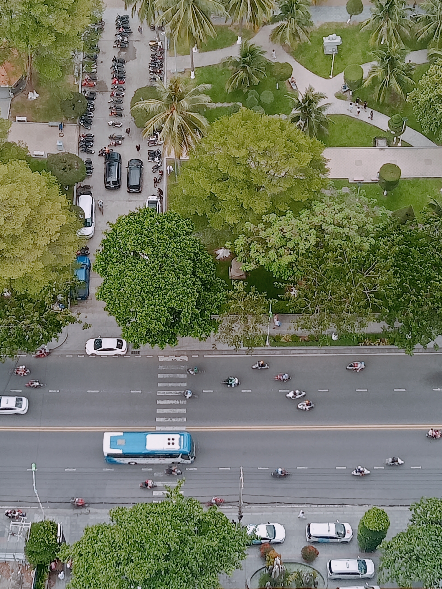 This aerial shot captures a street scene in Nha Trang Ward, Vietnam, adjacent to a park. A blue and white bus travels along a multi-lane road. Numerous scooters navigate the street. Cars park along the roadside. A pedestrian crossing is visible. The park features walking paths, trees, and benches. A parking area for motorcycles sits at the edge of the park. People walk in the park.