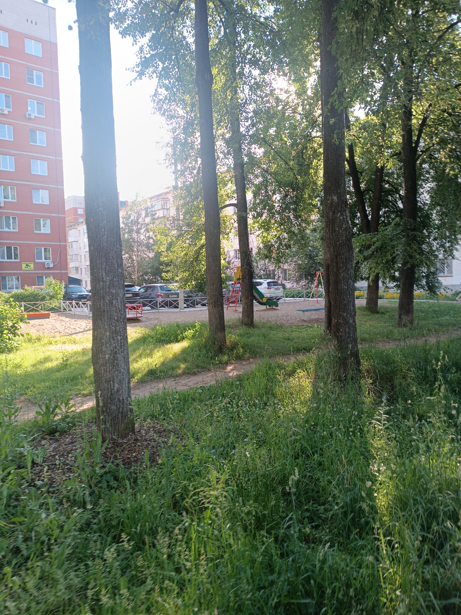 The image depicts an outdoor scene in a residential area of Chaikovsky, Russia. In the foreground, tall trees with rough bark stand prominently, with dappled sunlight filtering through their green foliage. The ground is covered in lush, green grass and some small white wildflowers. In the mid-ground, a children's playground area is visible, with a sandpit, a blue bench, and a slide. Beyond the playground, a fence separates it from a parking area where several cars are parked, including a dark SUV and a white minivan. In the background, multi-story brick apartment buildings are visible, typical of urban Russian architecture, with numerous windows and balconies. The sky is bright and appears to be a sunny day. The overall impression is of a communal living space with recreational facilities.