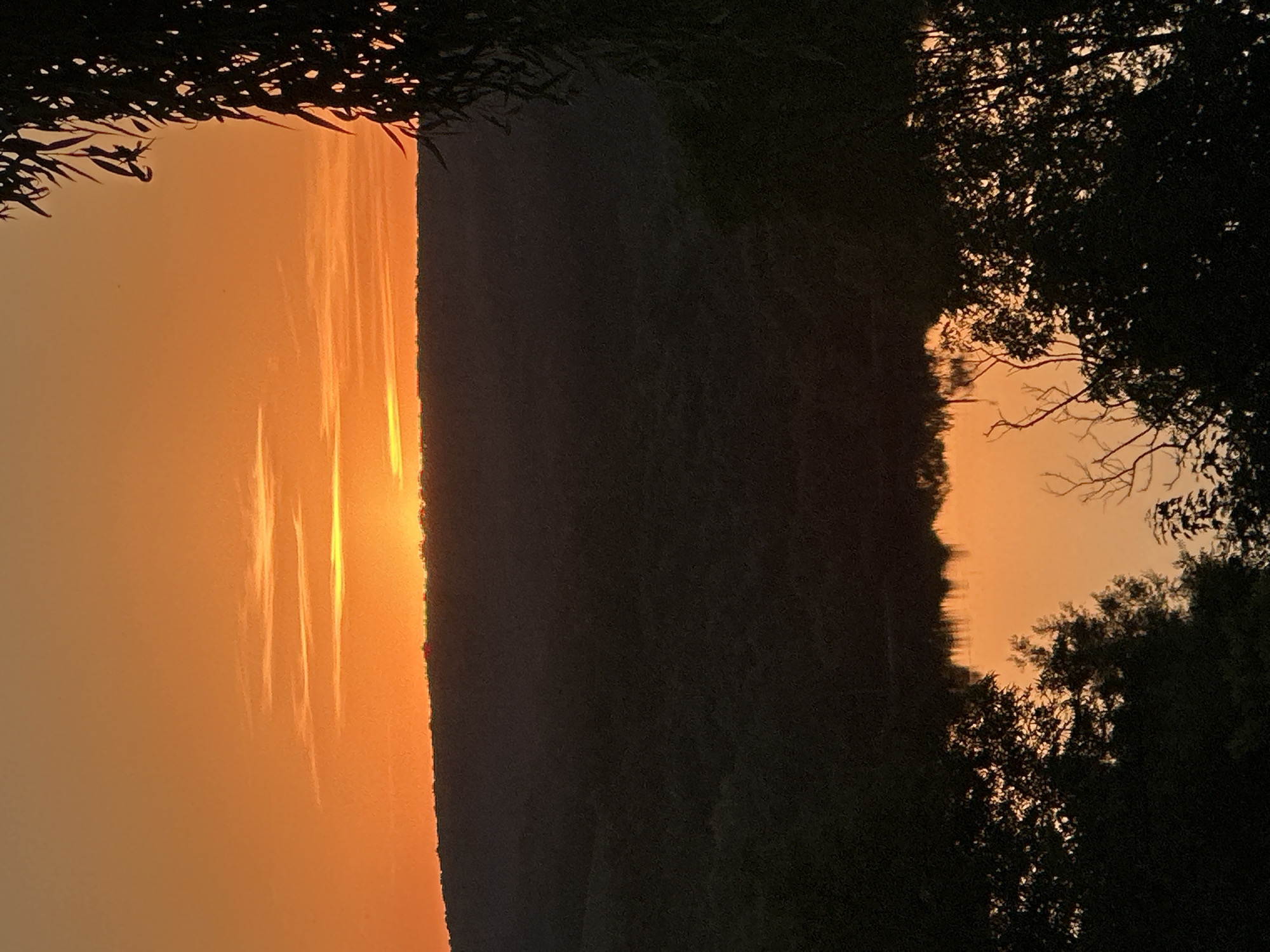 The image depicts a landscape scene at sunset, featuring a vibrant orange sky with wispy clouds. A dark, silhouetted ridgeline stretches across the middle ground, possibly representing hills or a forest. Below this ridge, a body of water reflects the warm hues of the sky, with dark foliage framing the foreground and right side of the image. The overall atmosphere is tranquil and serene. There are no visible people, specific structures, or immediate actions occurring in the scene. The location is stated to be the city of Makiv, Ukraine, though no specific landmarks are identifiable within the image to confirm this.